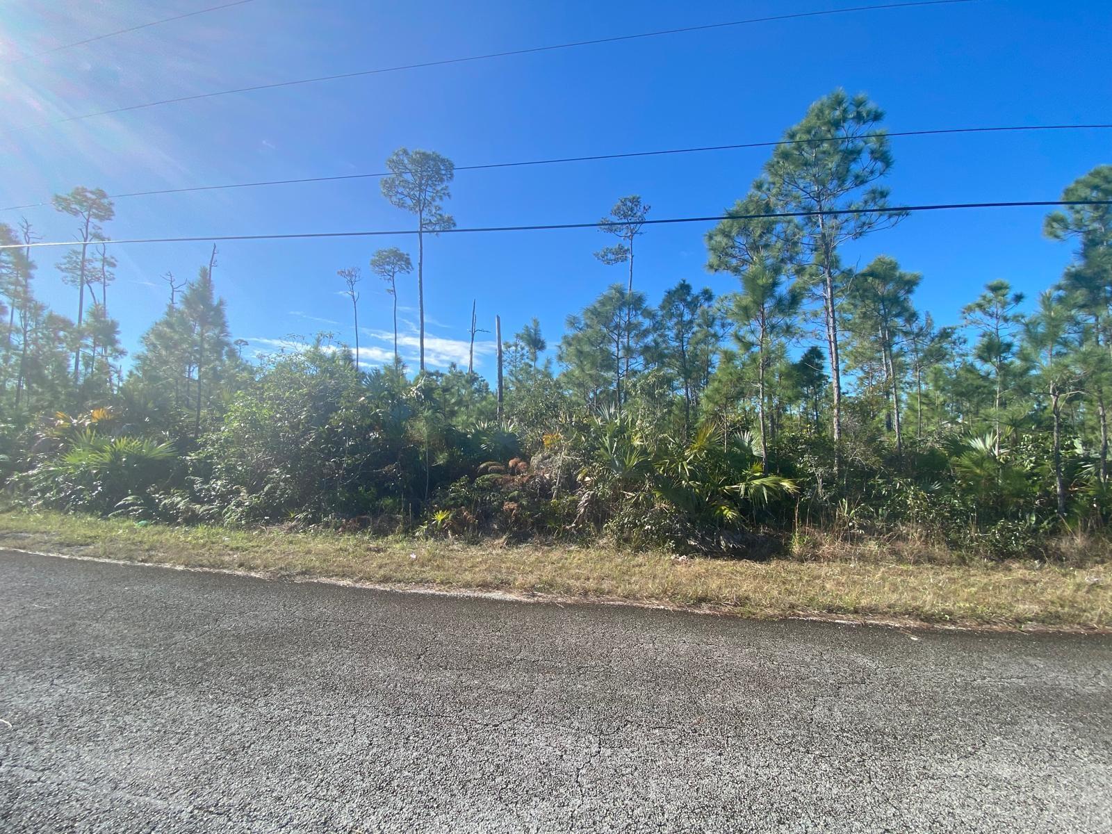 BOATHOOK AVENUE, FREEPORT