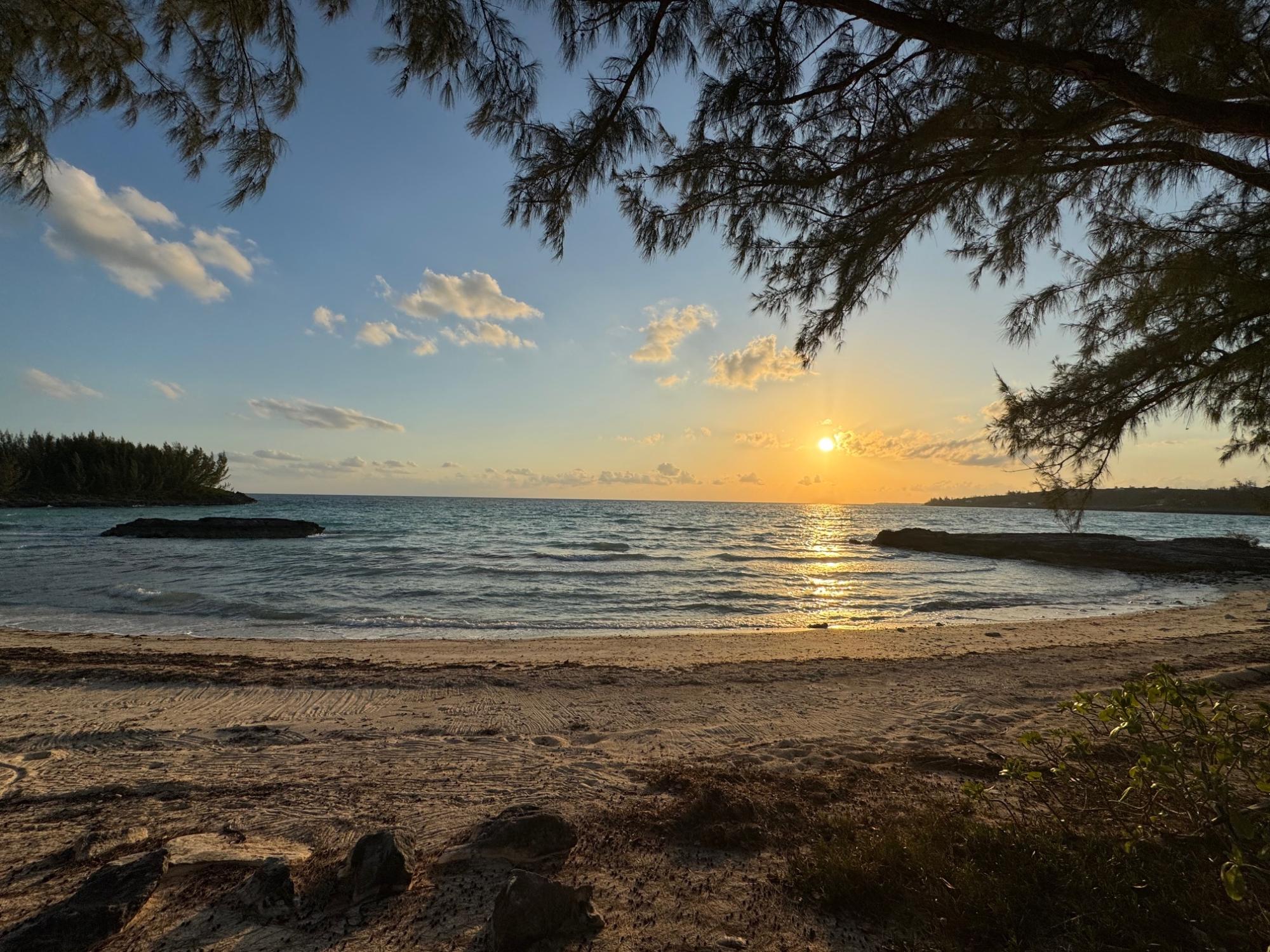 SUGAR APPLE, RAINBOW BAY