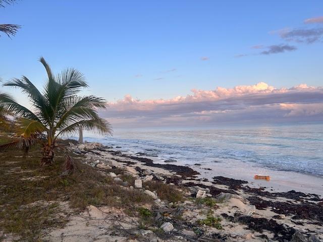 PELICAN POINT