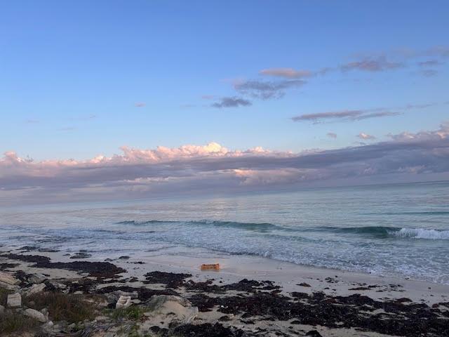 PELICAN POINT