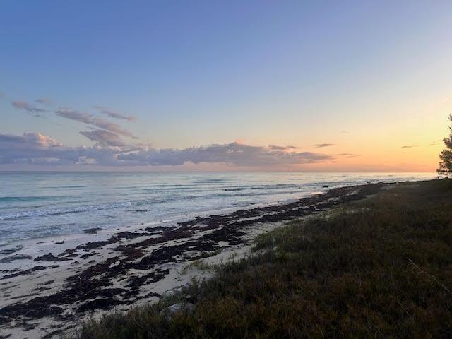 PELICAN POINT