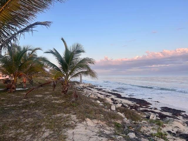 PELICAN POINT