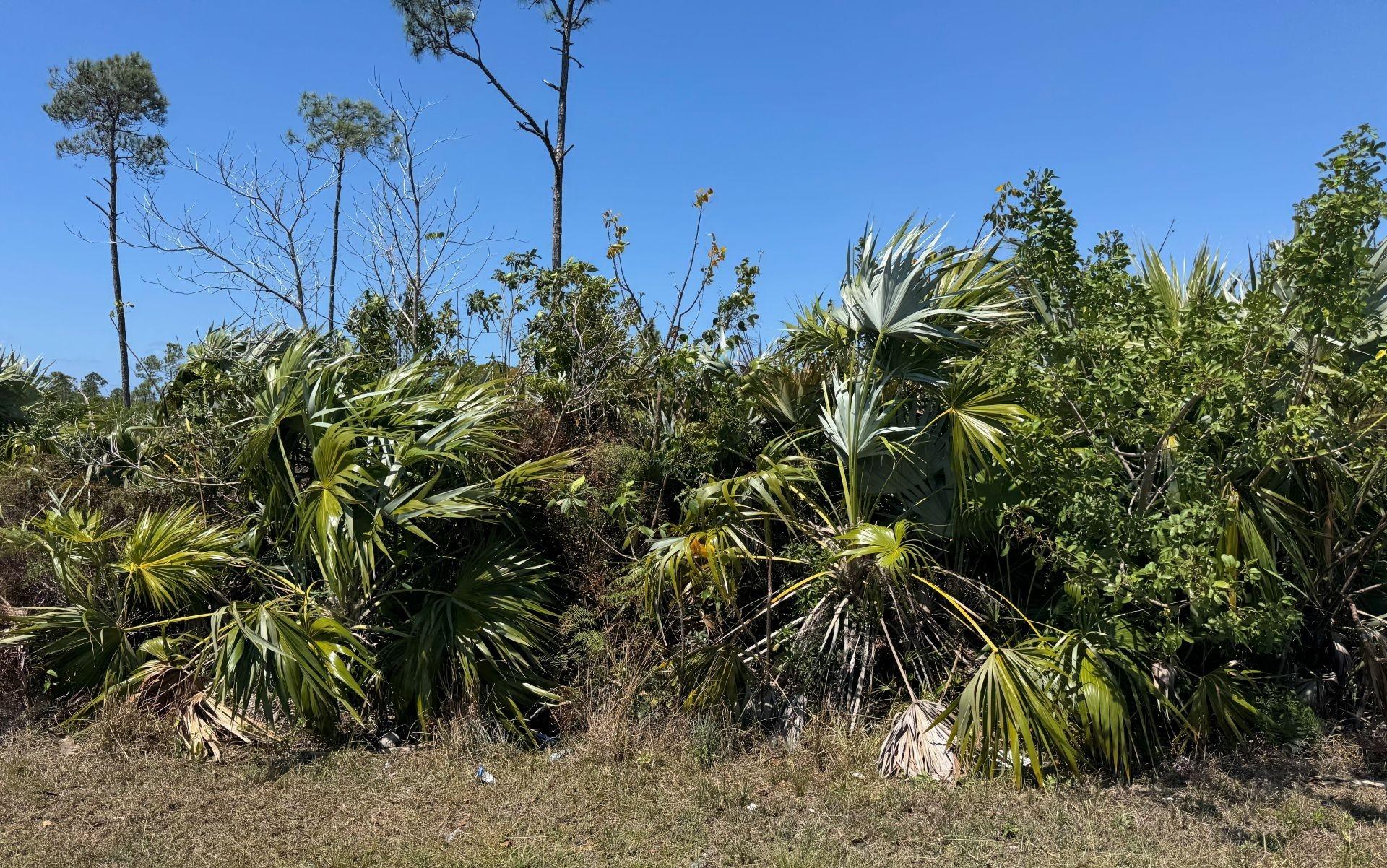 BAHAMIA WEST LOT