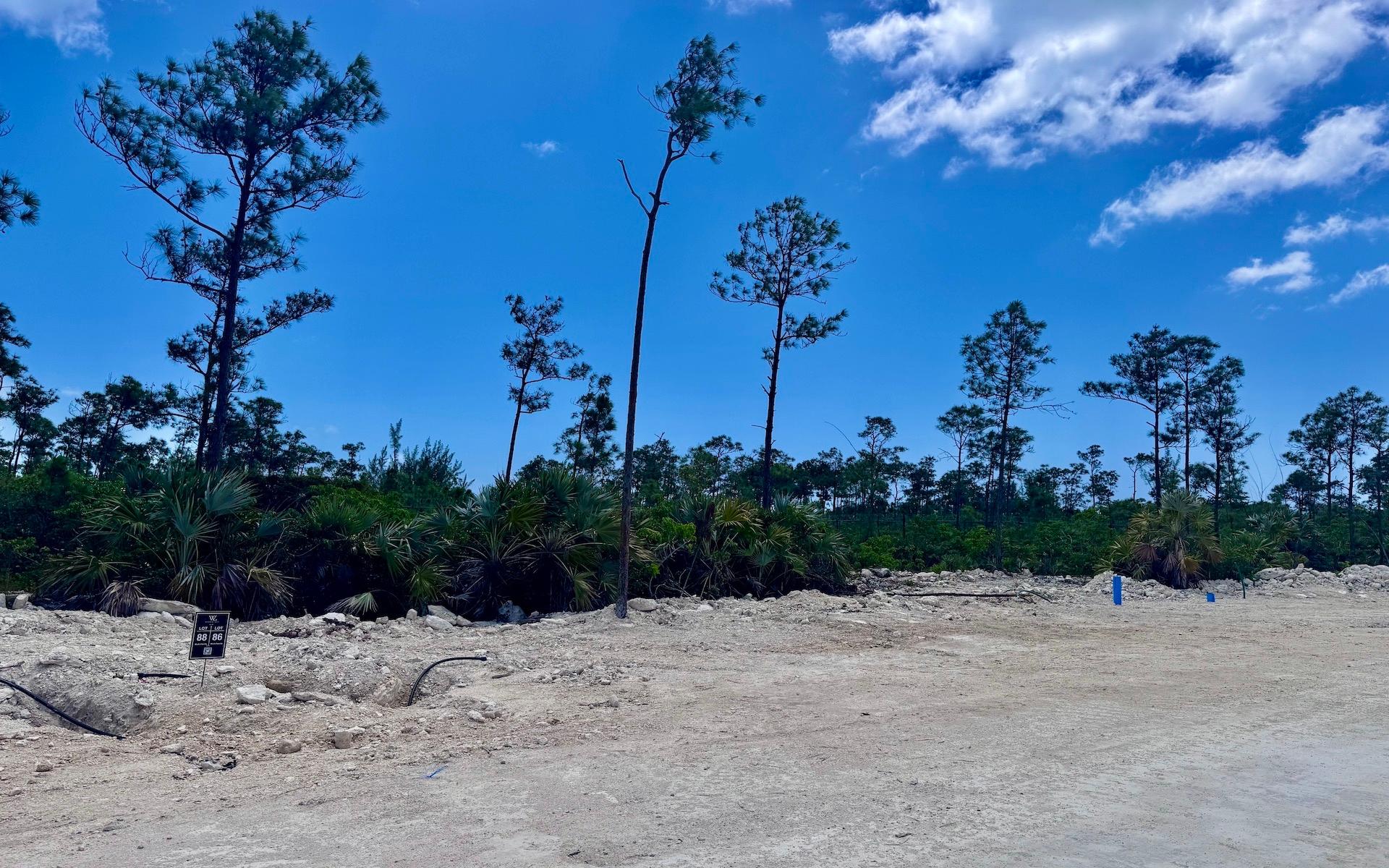 LOT 86 WINDSOR LAKES SUBD