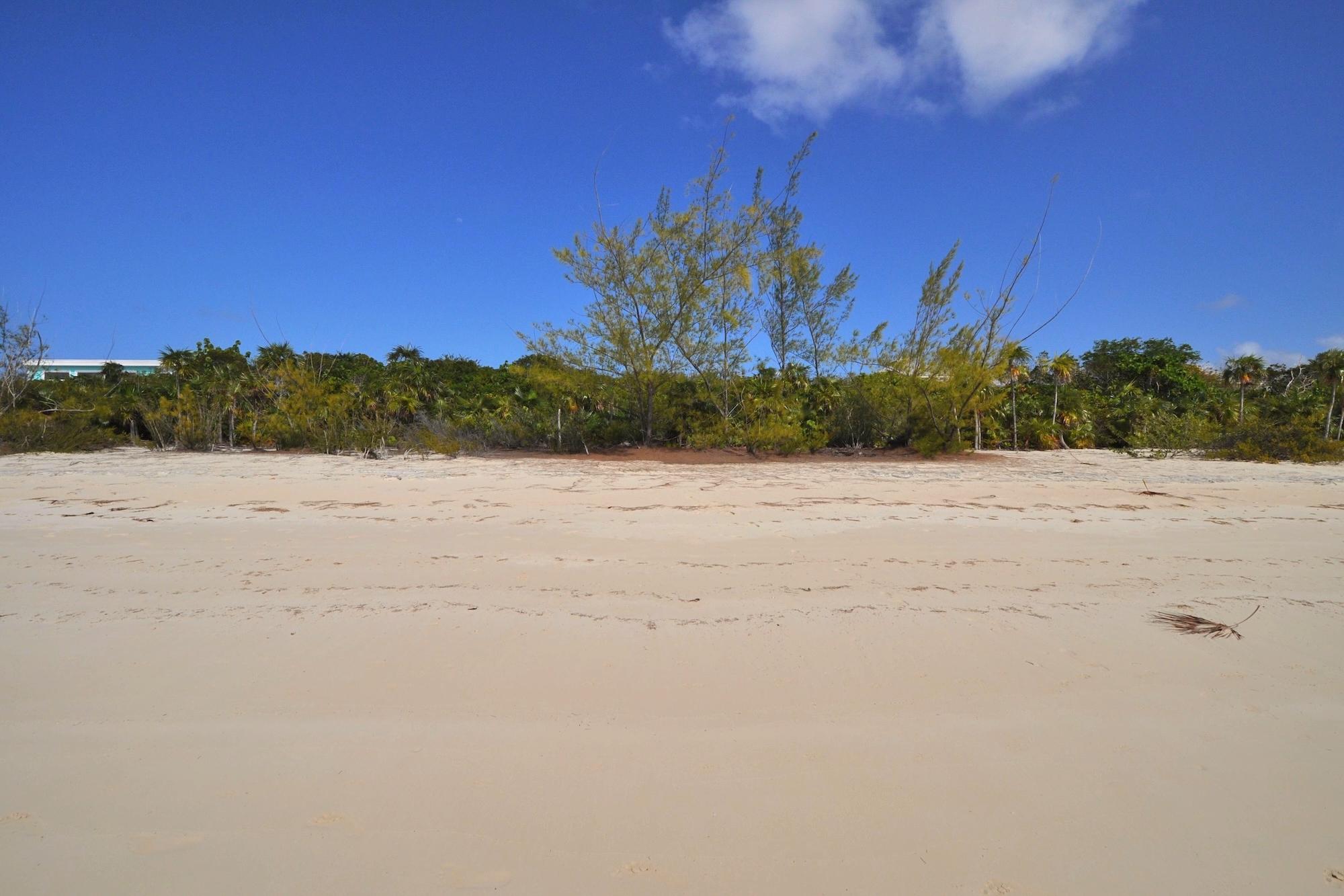 BEACHFRONT LOT