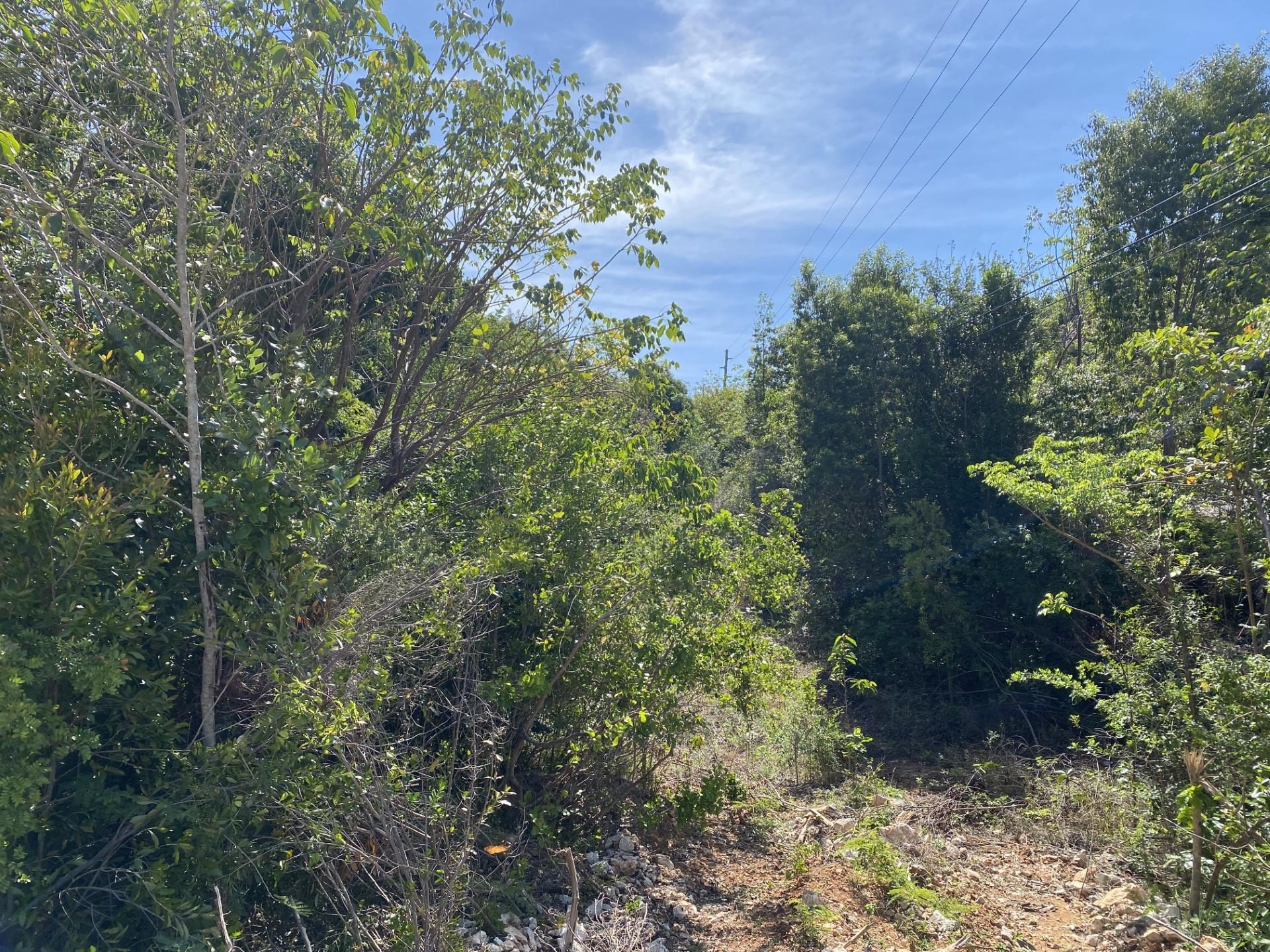ELEVATED GREGORY TOWN LOT