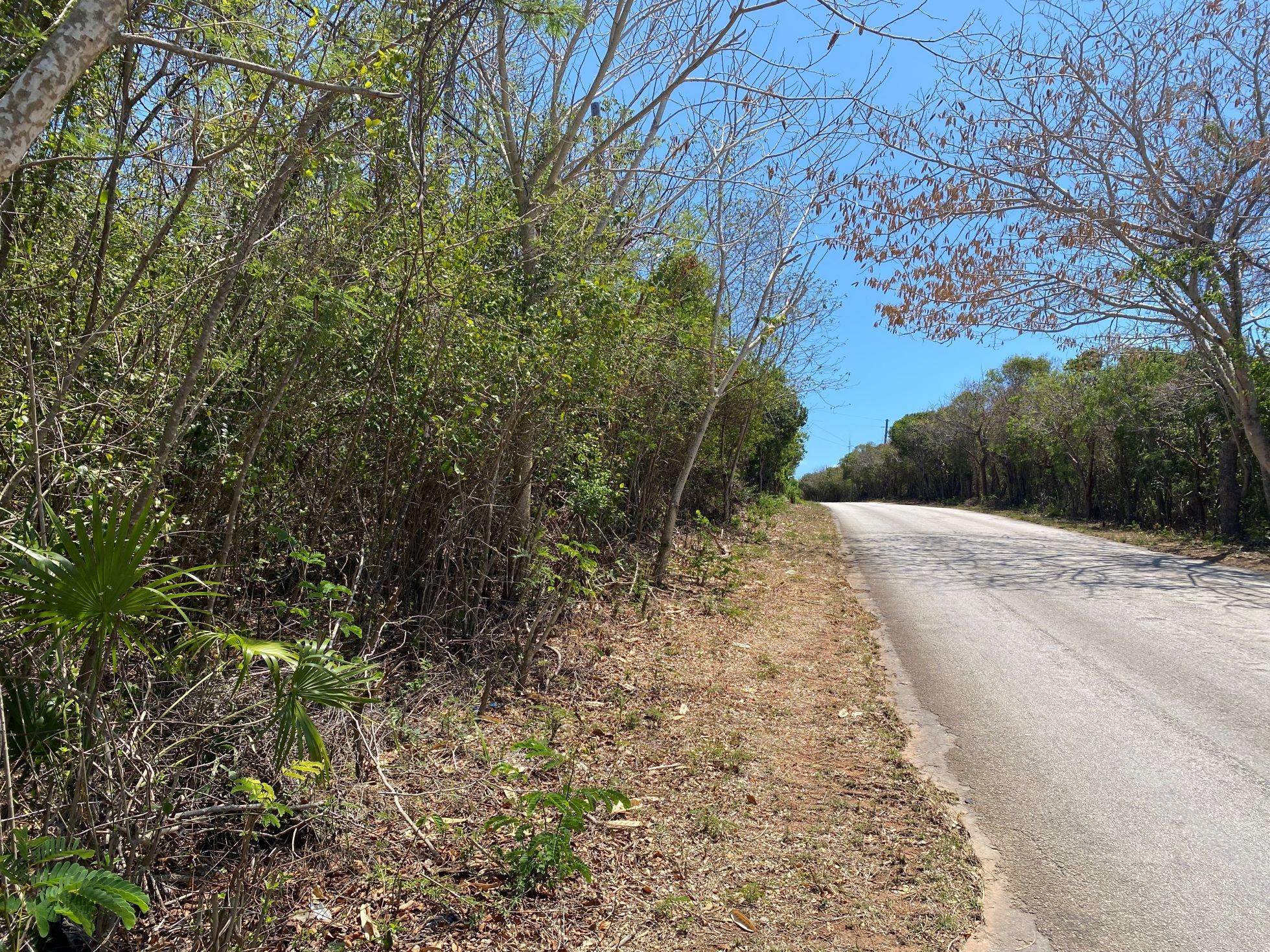ELEUTHERA ISLAND SHORES