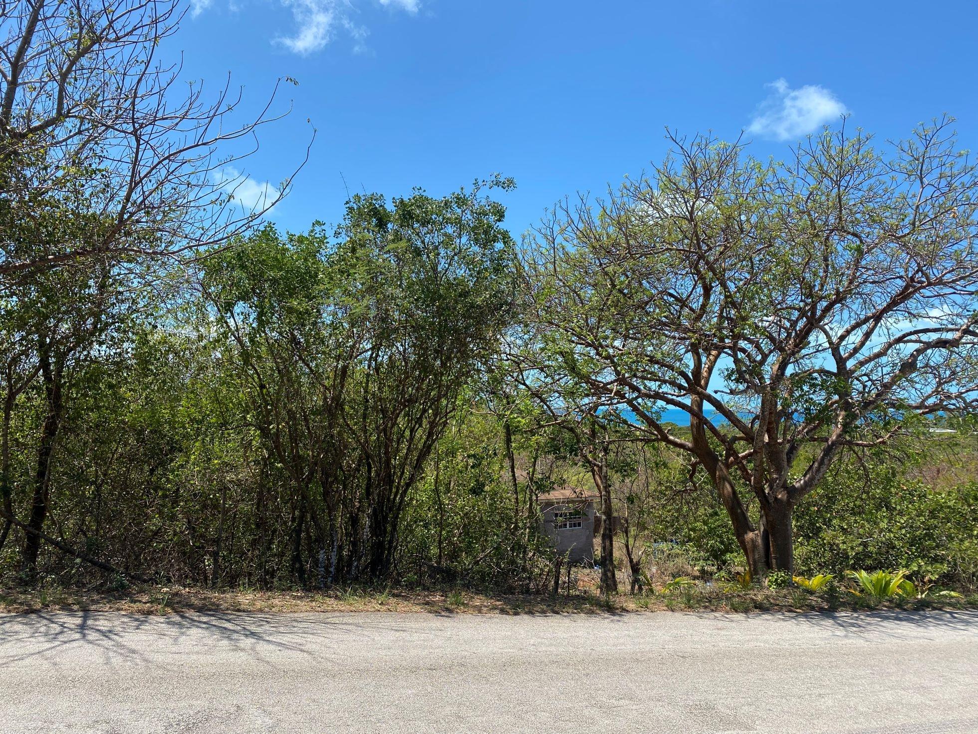 ELEUTHERA ISLAND SHORES