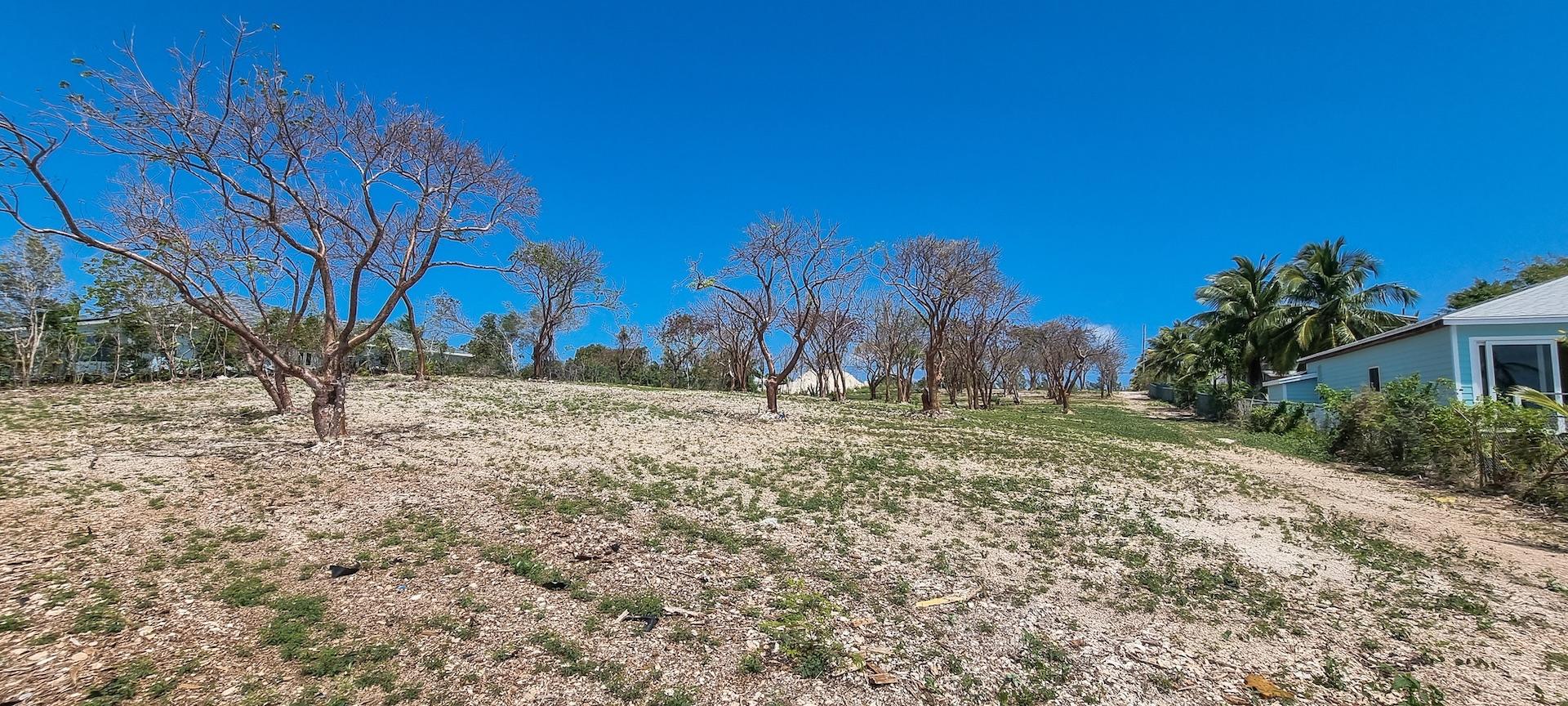 Waterfront Acreage