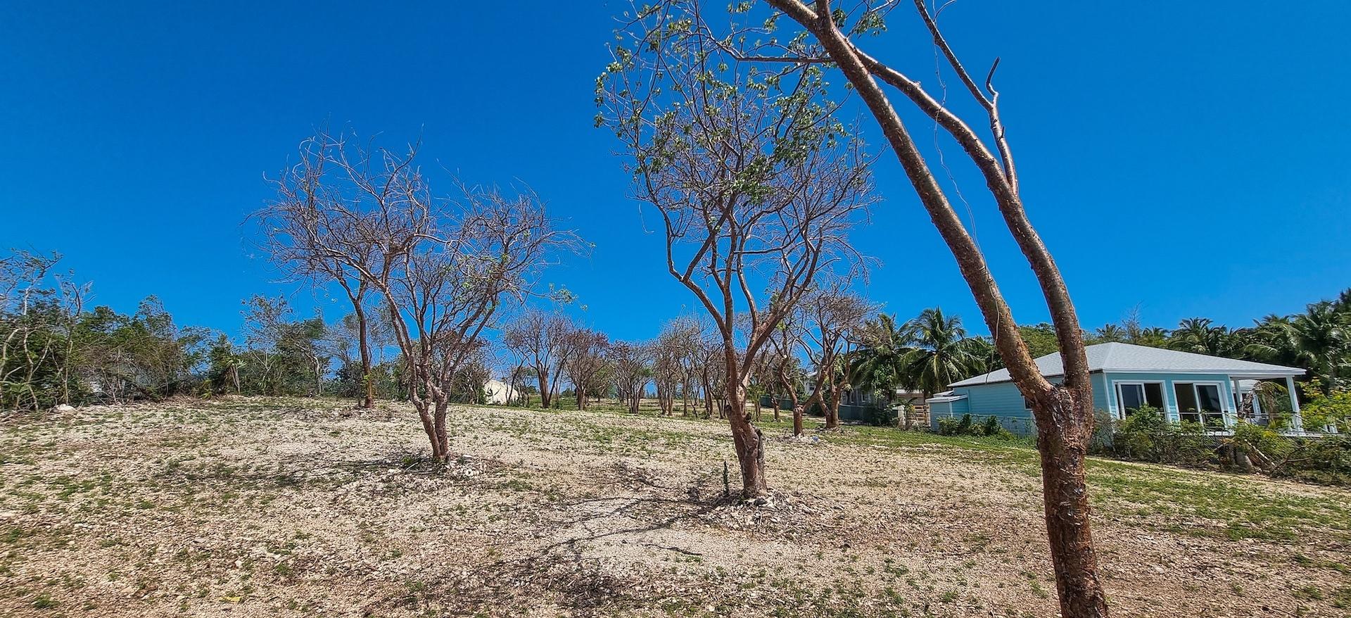 Waterfront Acreage