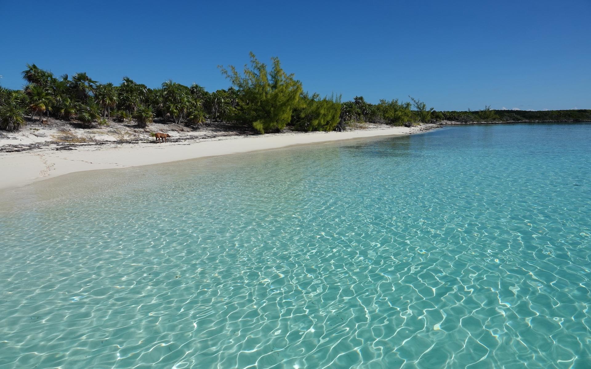 SAND DOLLAR CAY