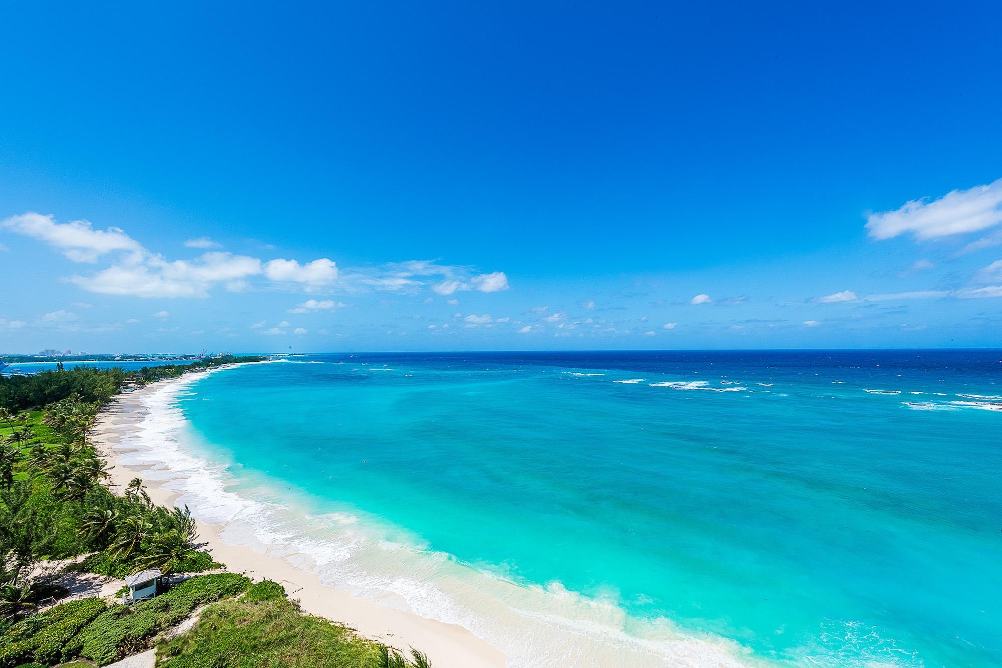 The Reef