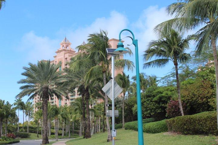 THE REEF AT ATLANTIS