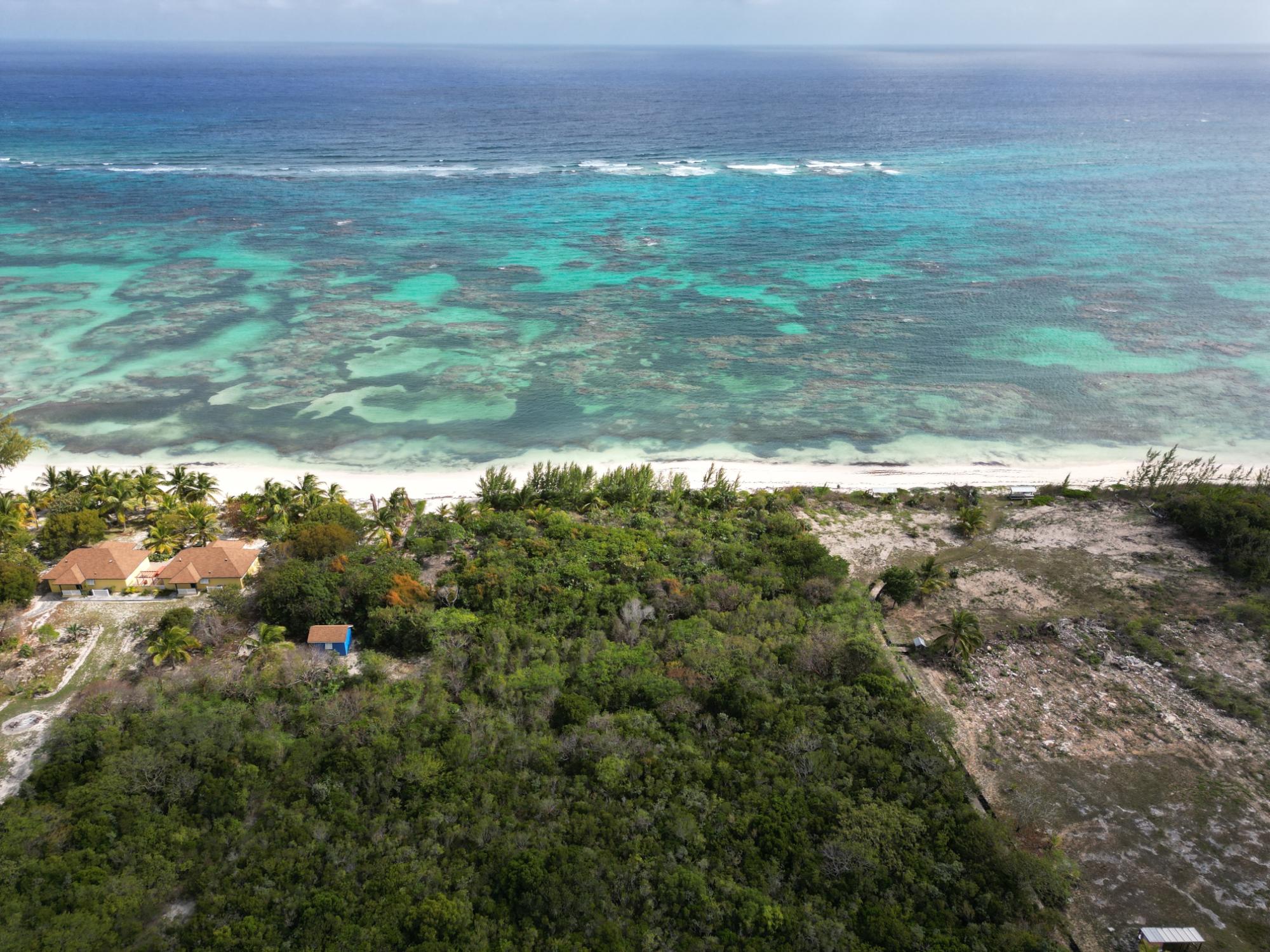 FLAMINGO BAY, CAT ISLAND