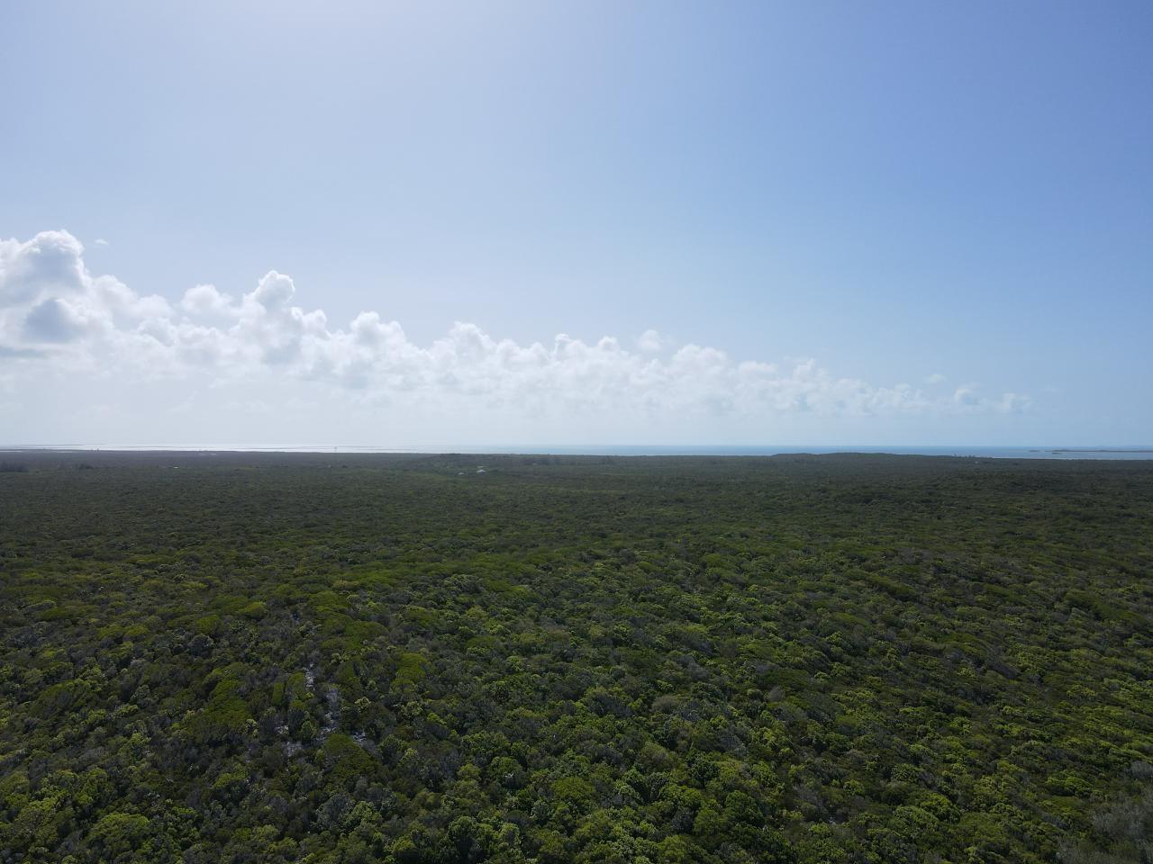 120 ACRES DOCTOR’S CREEK