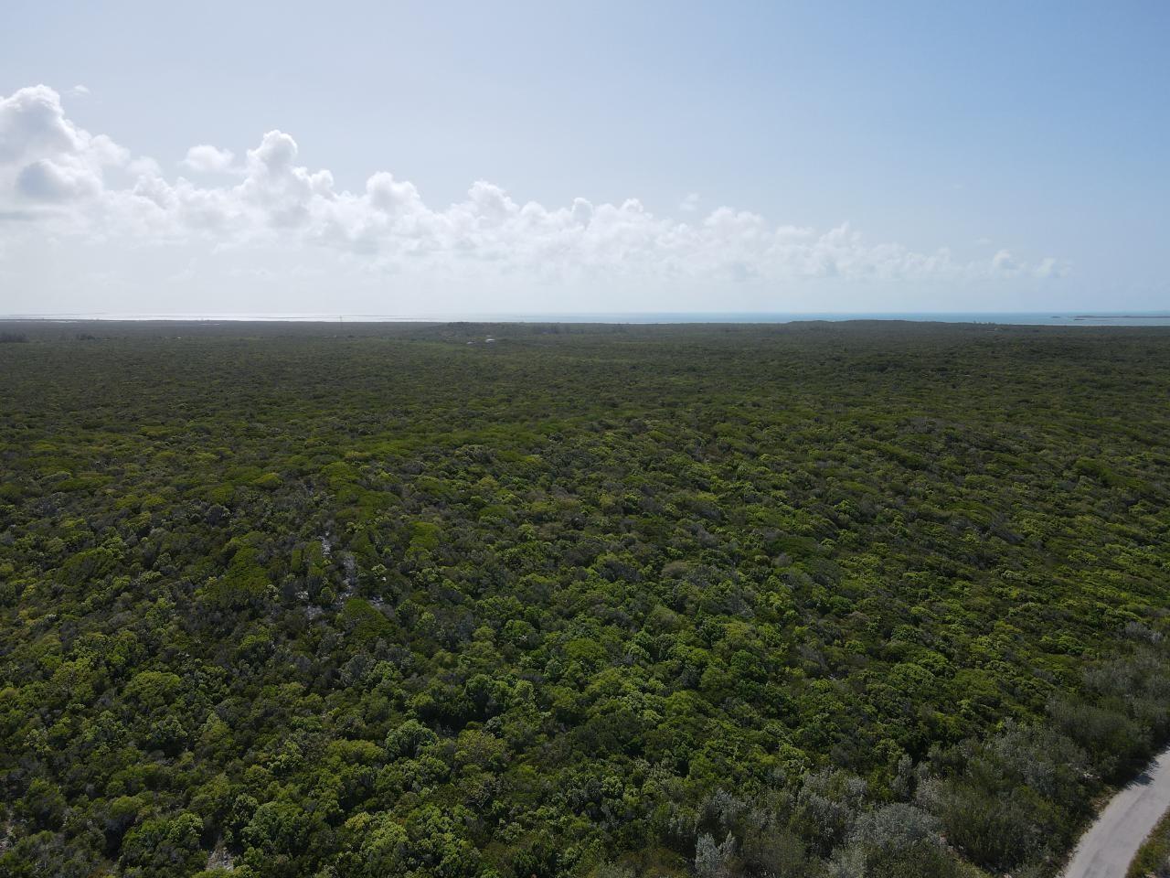 28.45ACRES DOCTOR’S CREEK