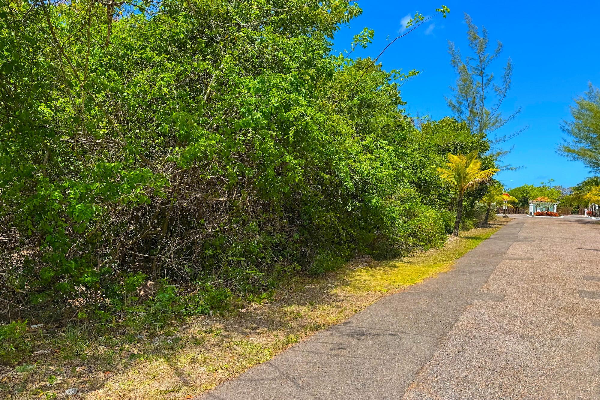 JACARANDA LOT