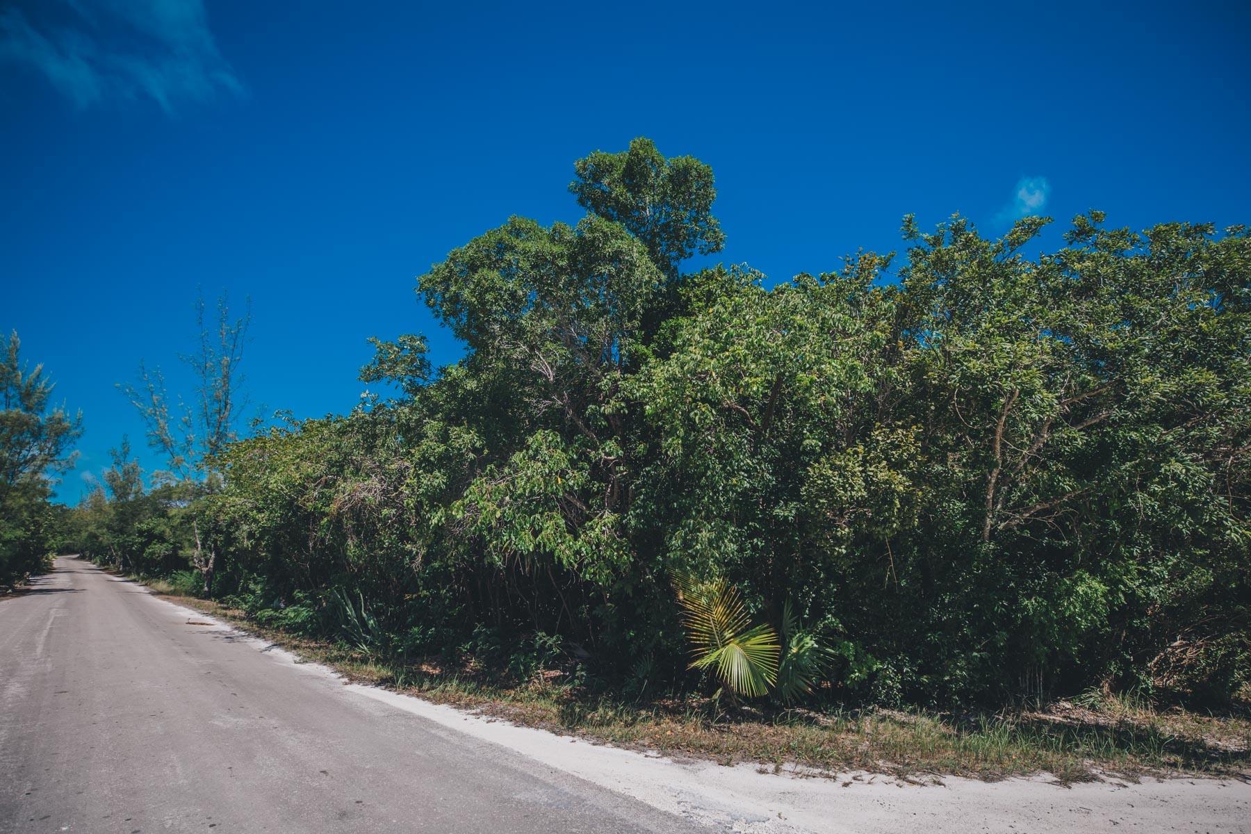 LOT R 32, PALMETTO SHORES