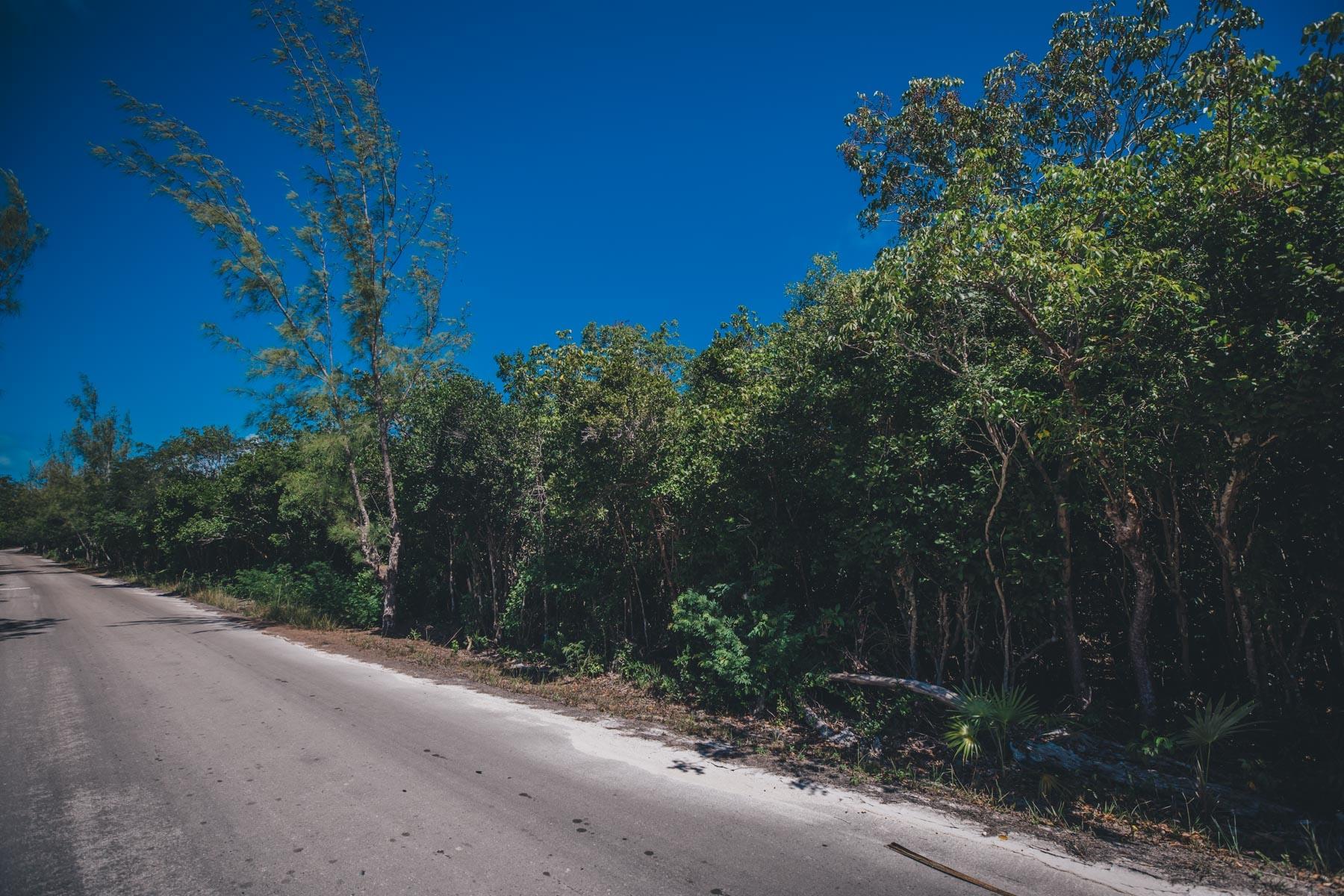 LOT R 32, PALMETTO SHORES