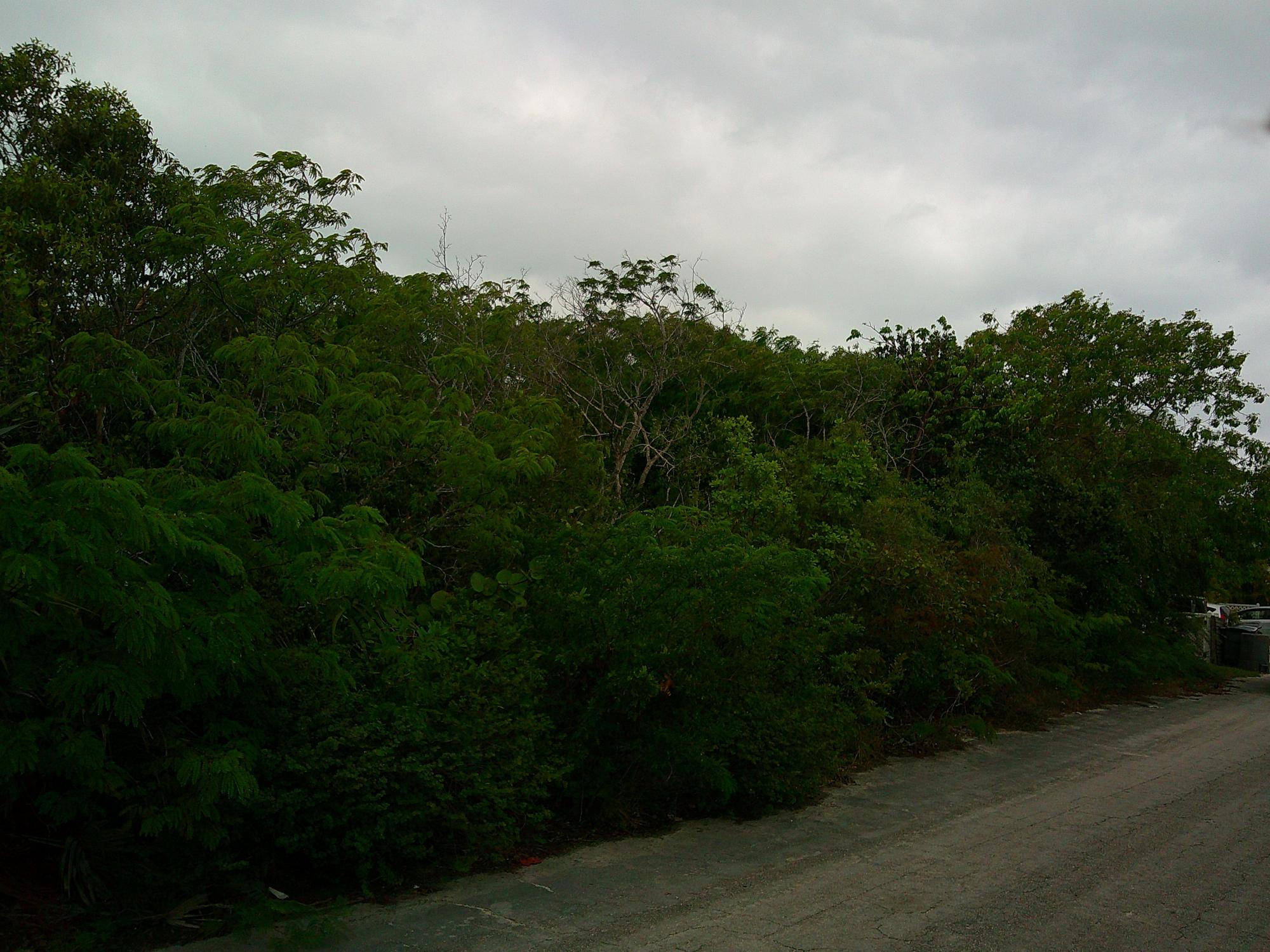 Periwinkle Lane BS18