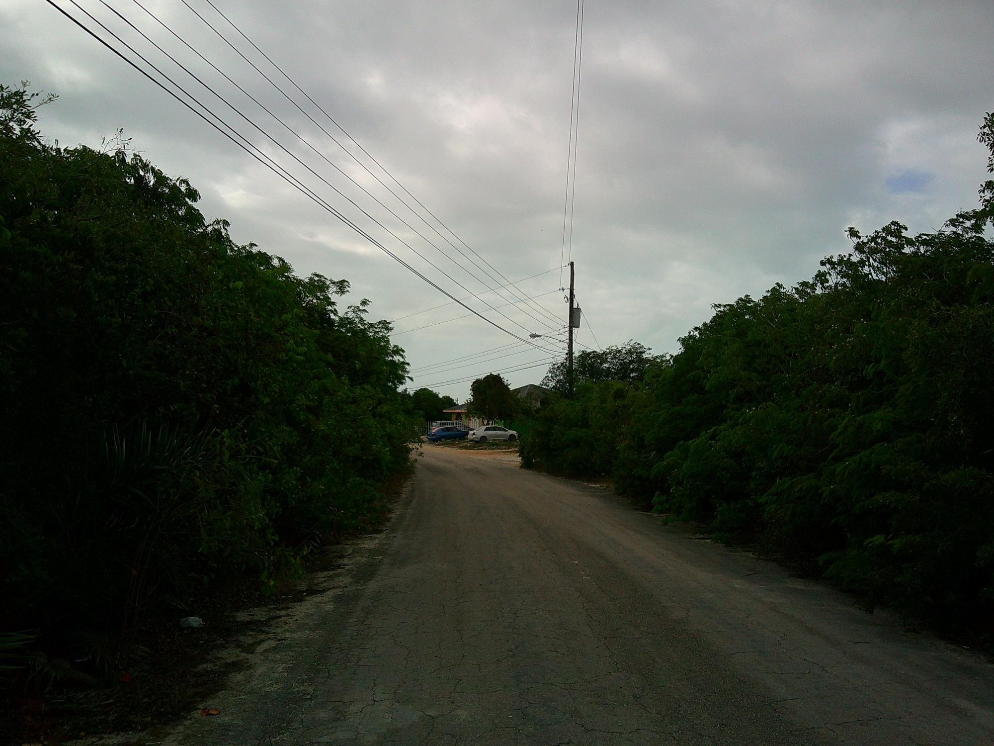 Periwinkle Lane BS18