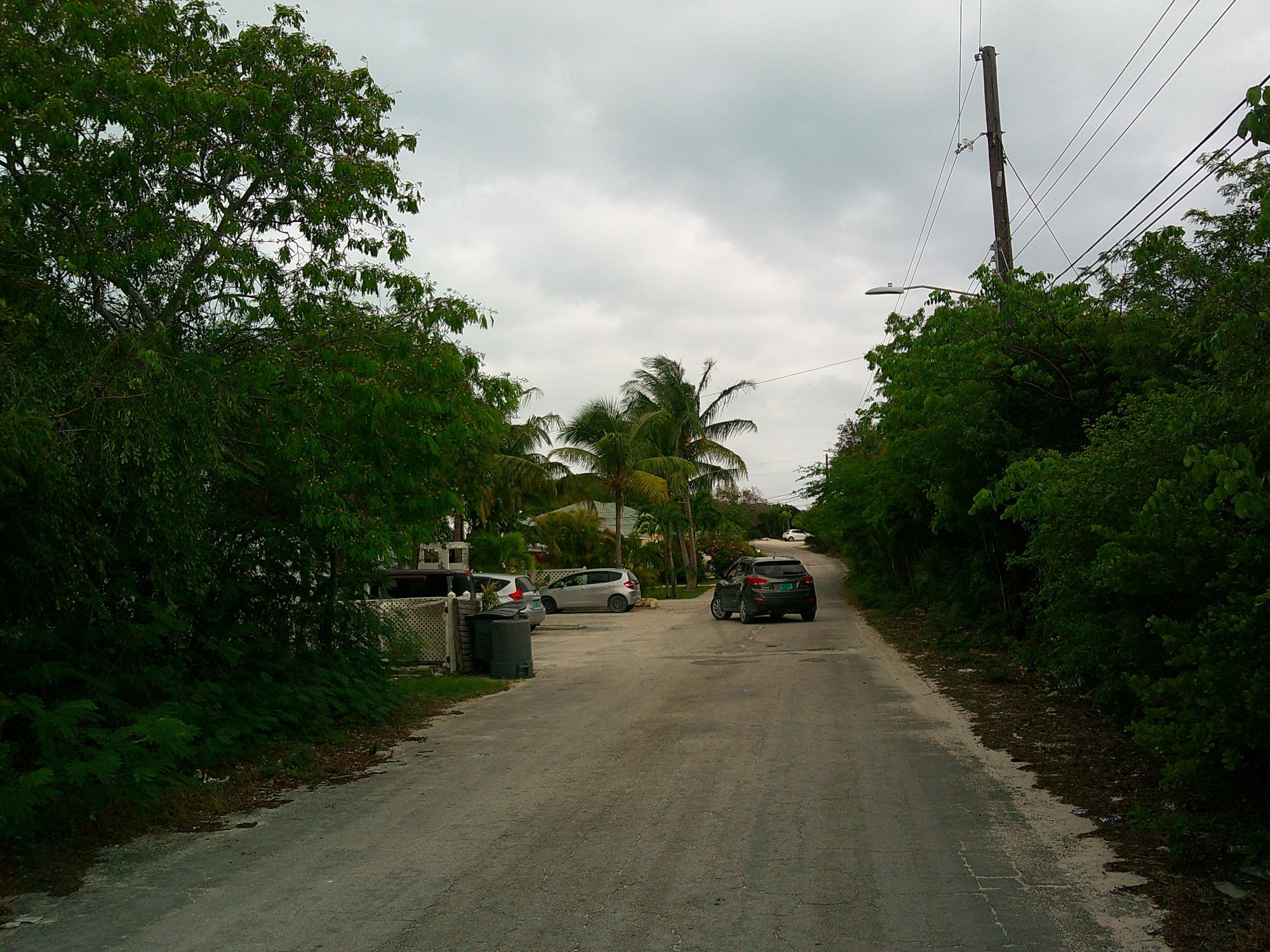 Periwinkle Lane BS18