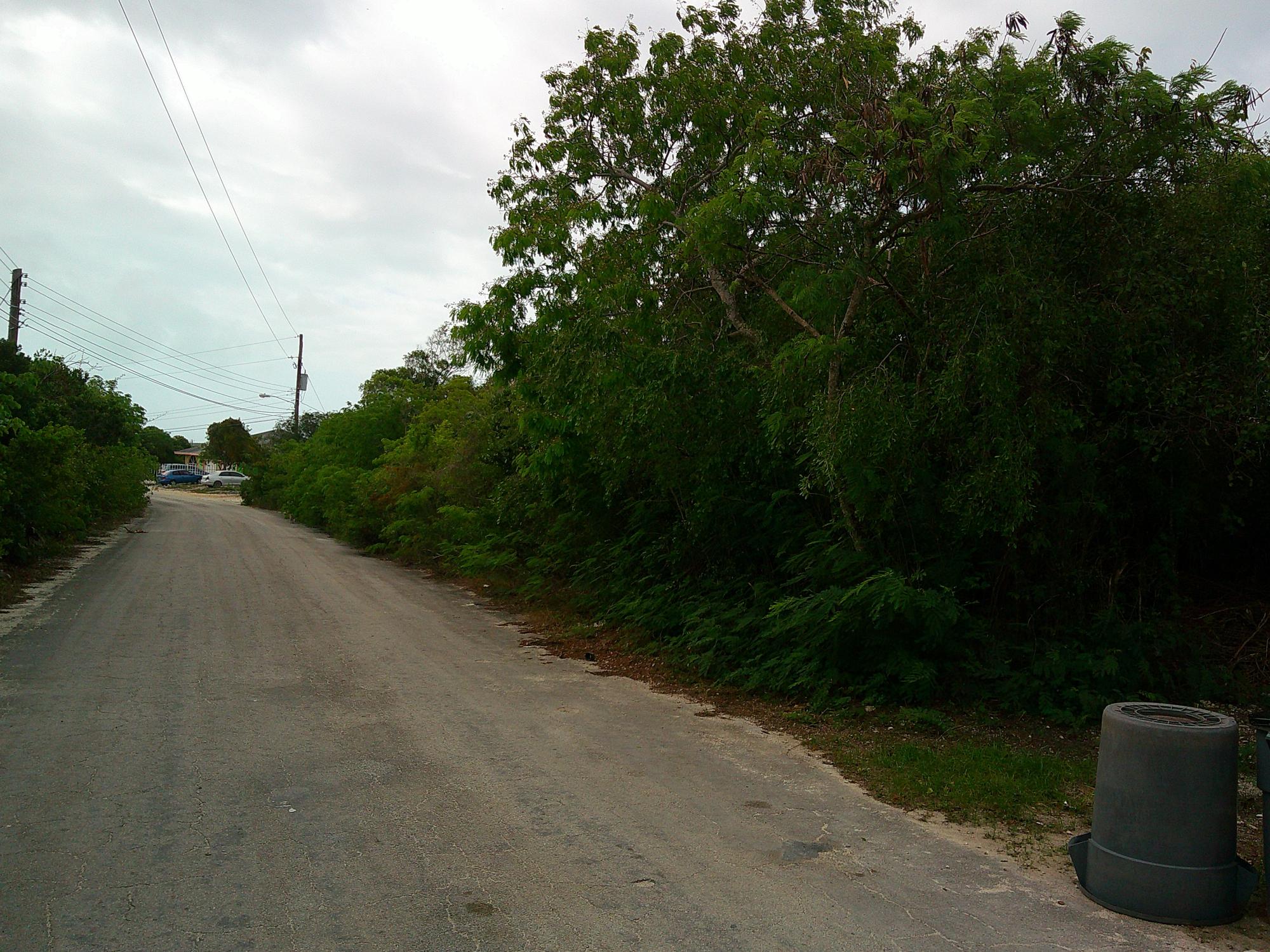Periwinkle Lane BS18