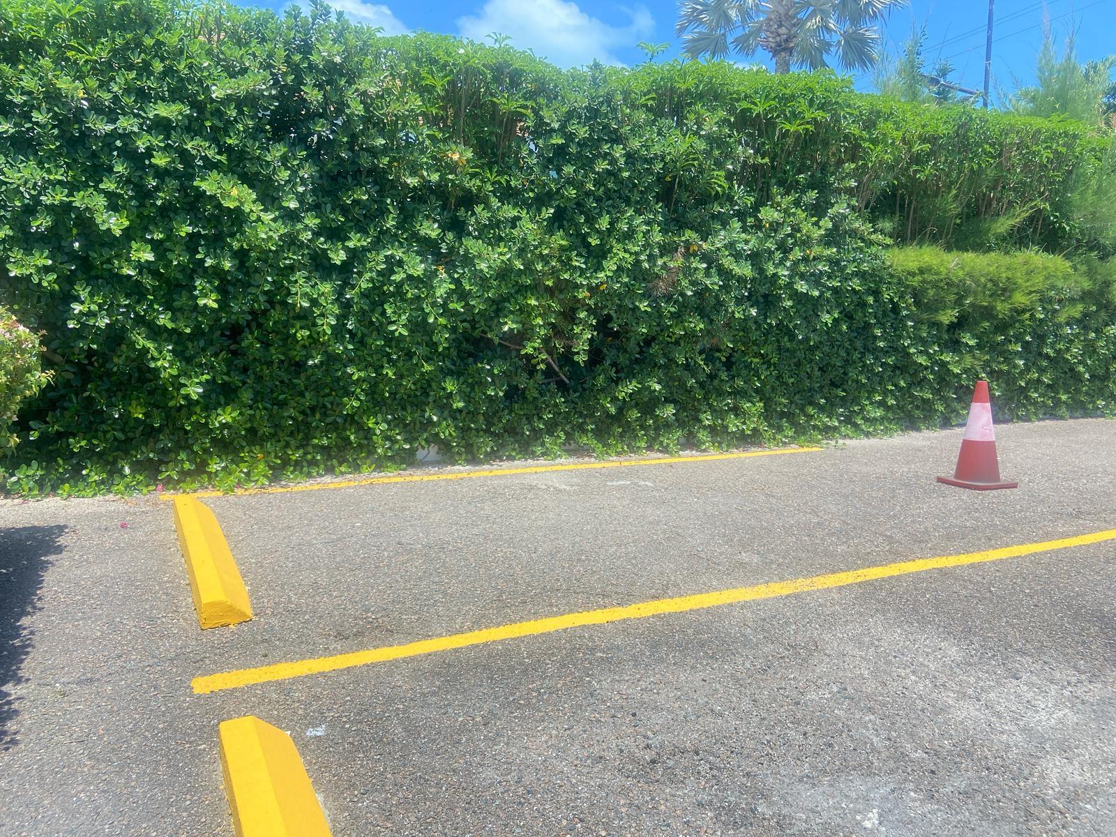 YAMACRAW HILL ROAD APT