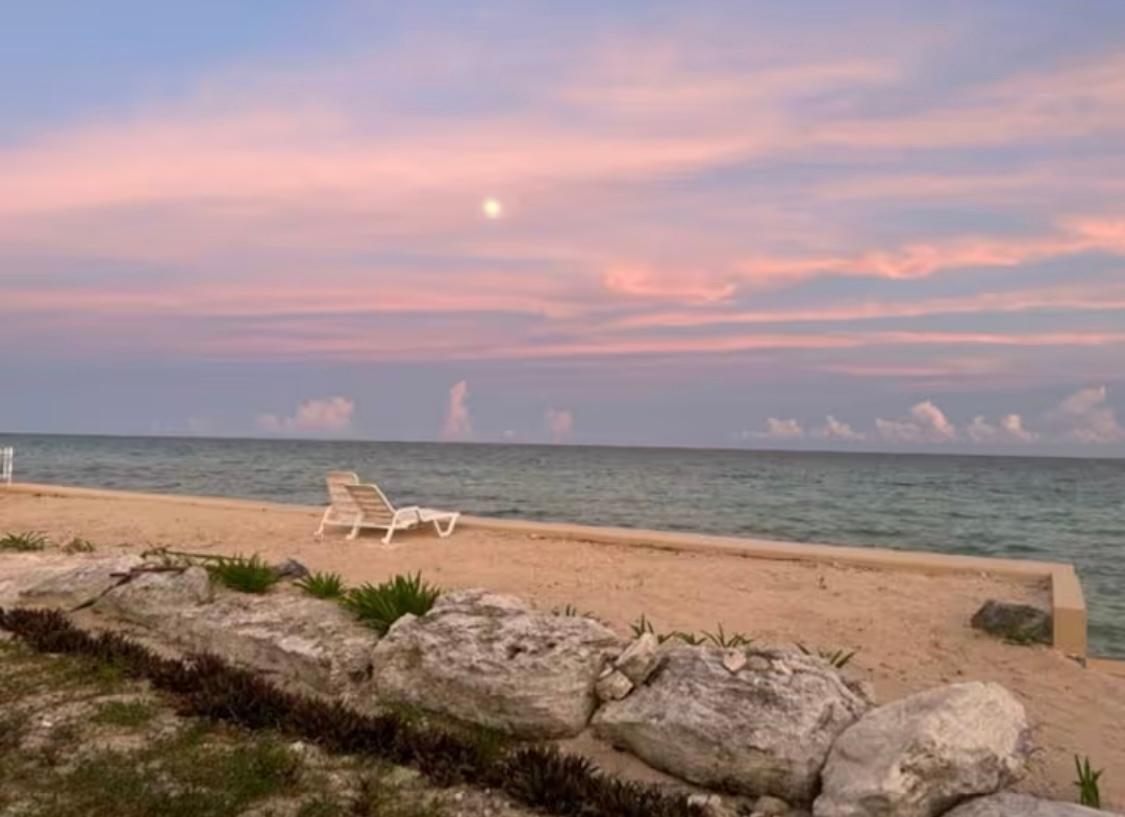TURTLE REEF COVE
