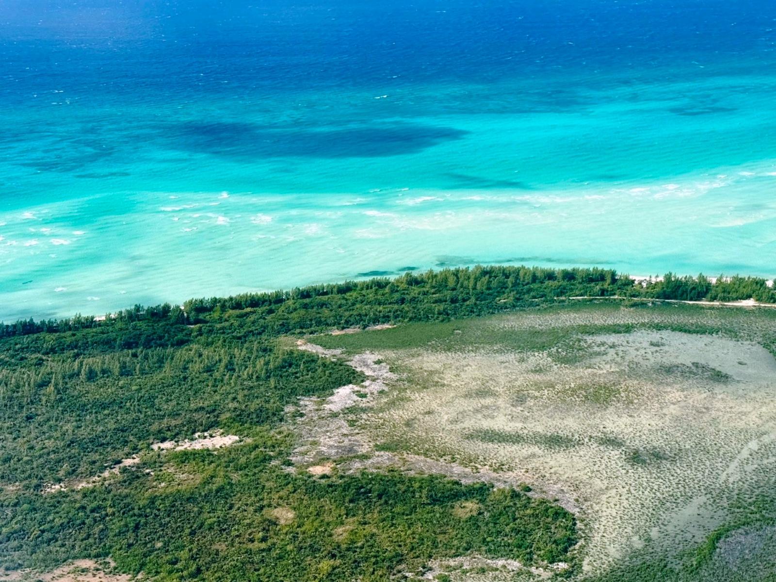 SWEETING’S CAY BEACH FRON