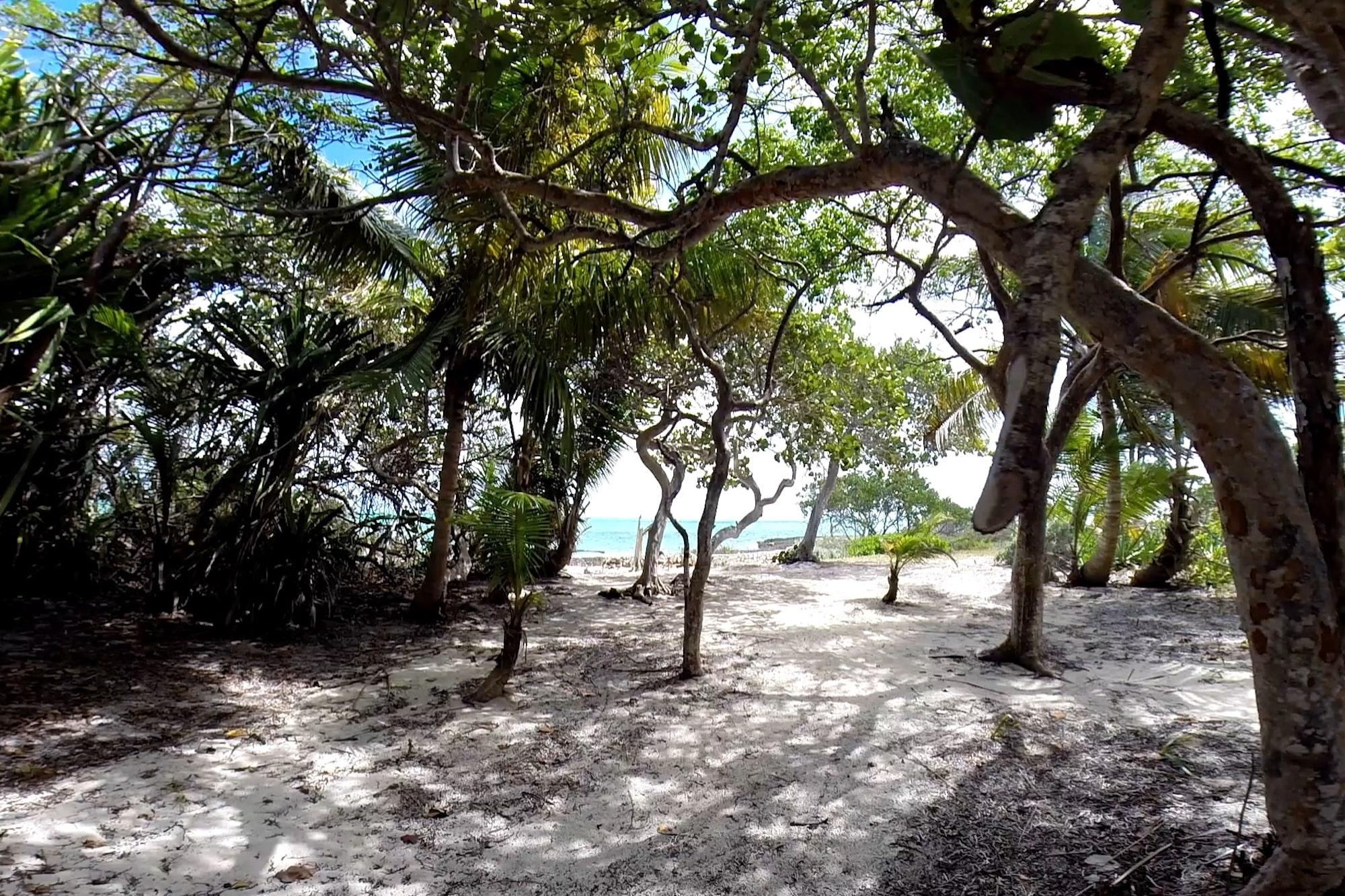 SWAIN’S CAY