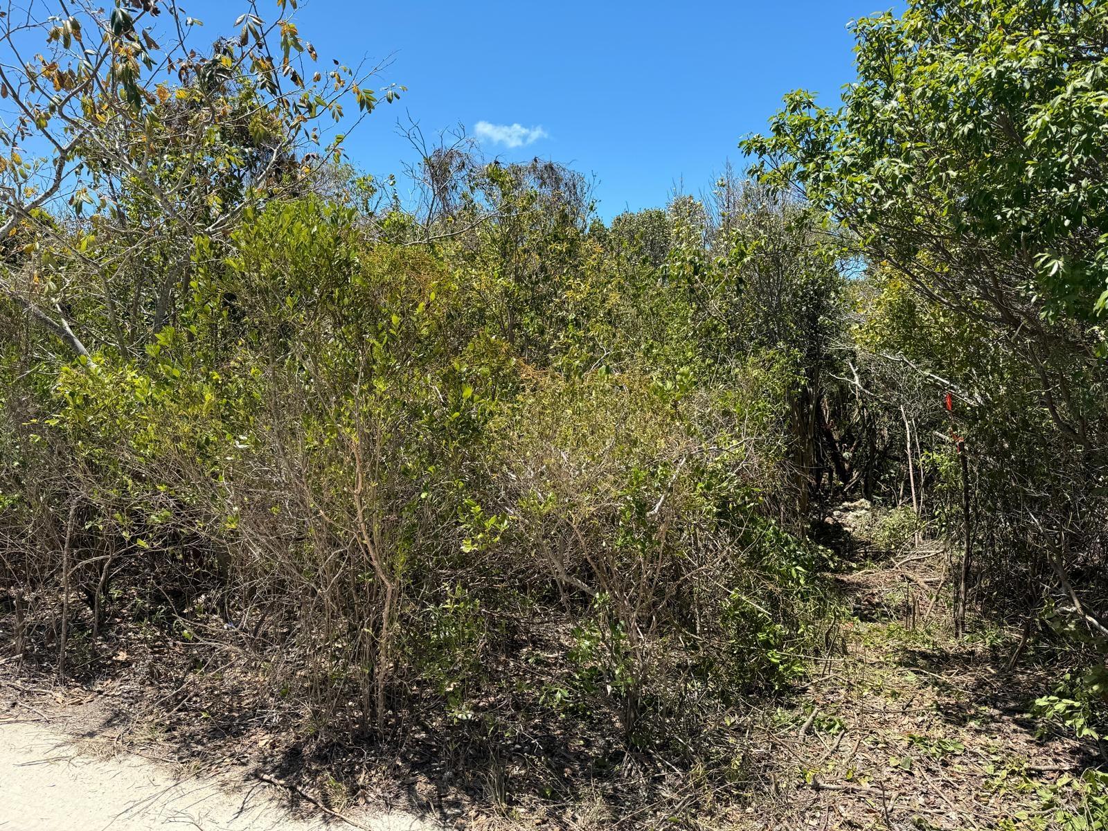 CIGATOO ESTATES