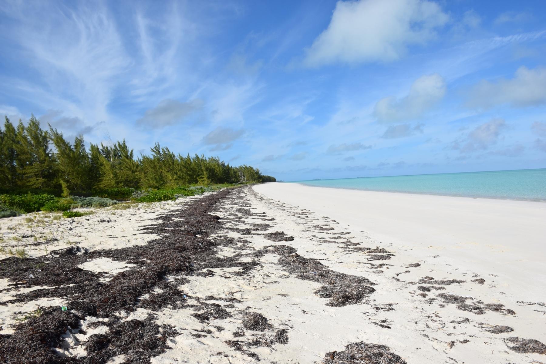 ANDROS BEACHFRONT ACREAGE