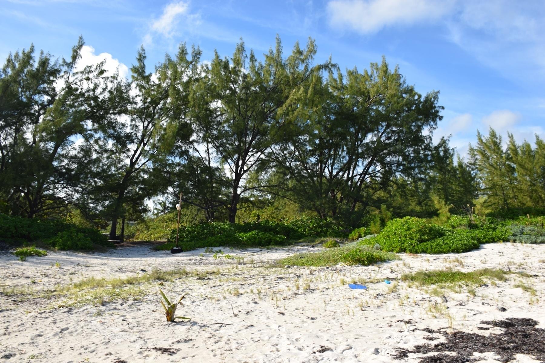 ANDROS BEACHFRONT ACREAGE