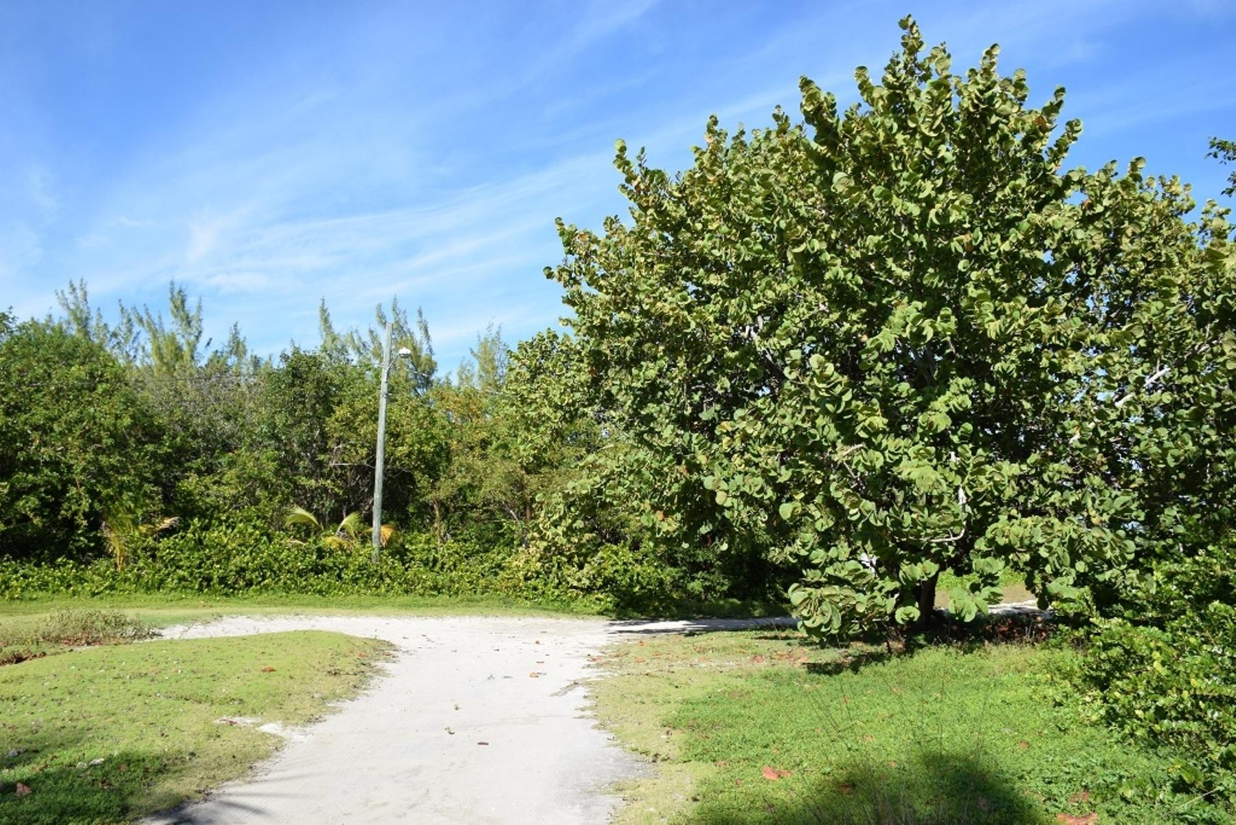 ANDROS BEACHFRONT ACREAGE