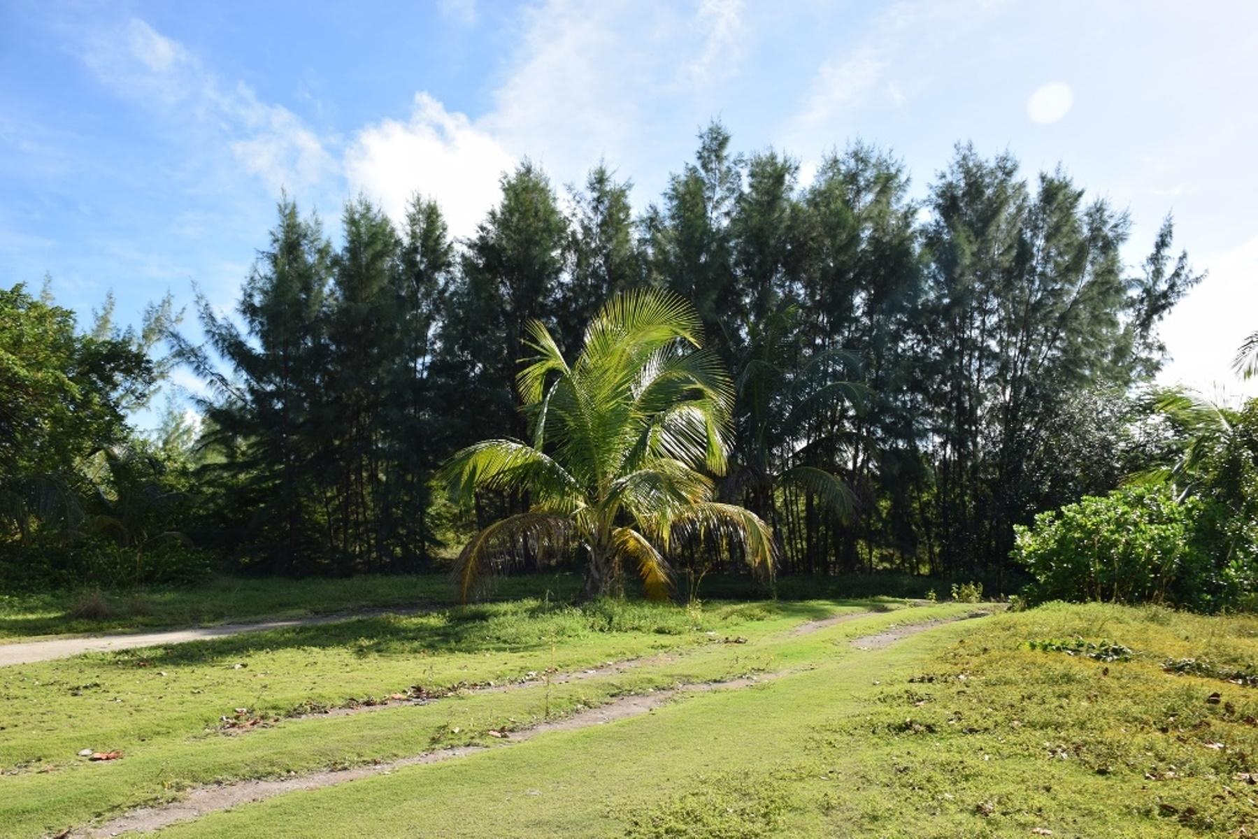 ANDROS BEACHFRONT ACREAGE
