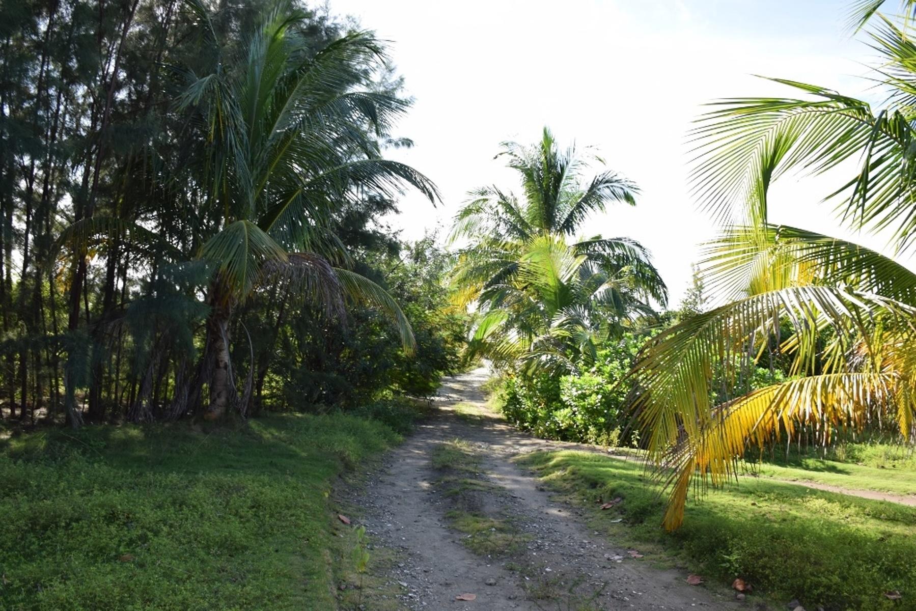 ANDROS BEACHFRONT ACREAGE
