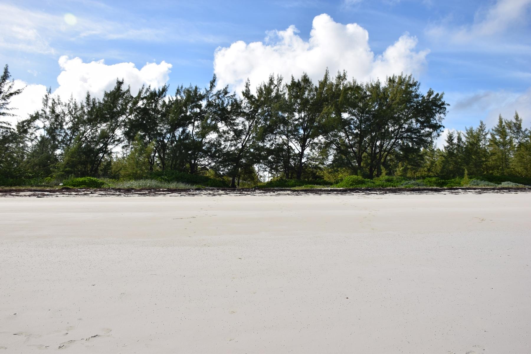 ANDROS BEACHFRONT ACREAGE