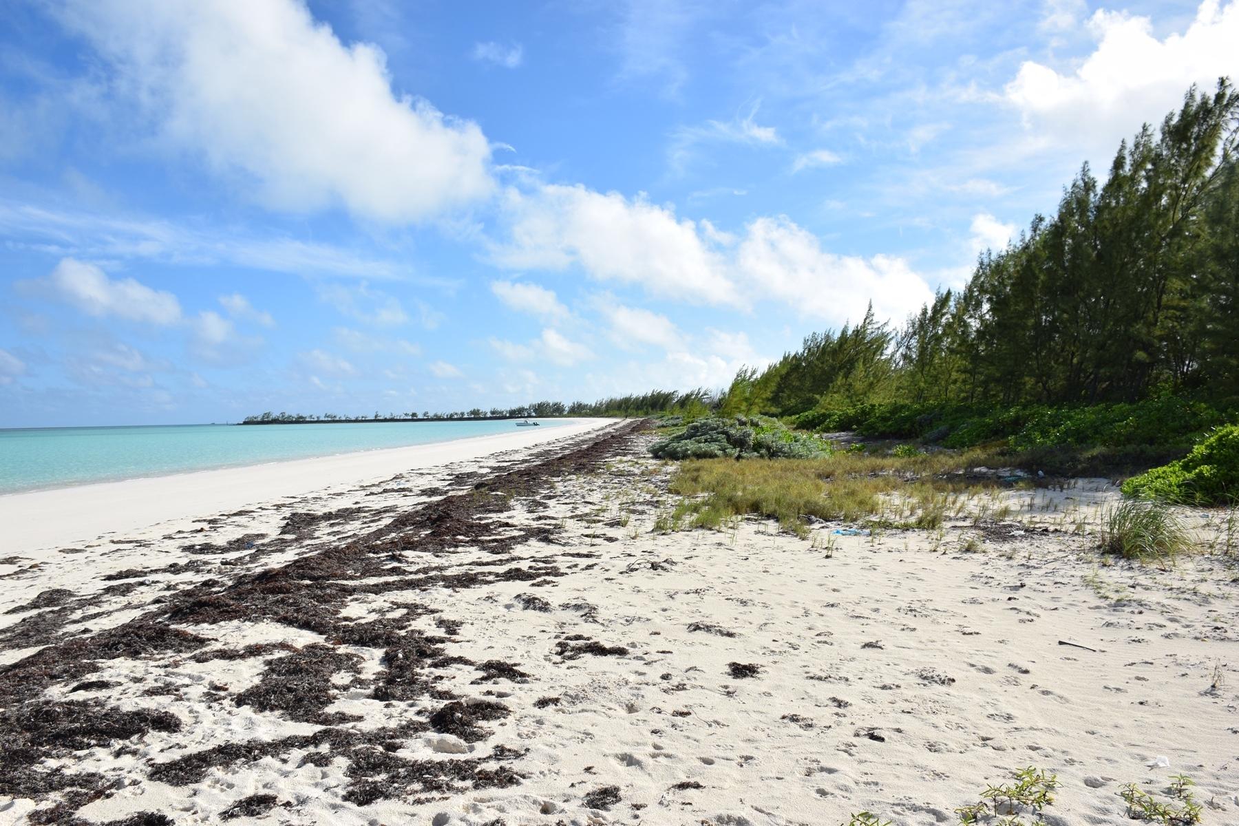 ANDROS BEACHFRONT ACREAGE