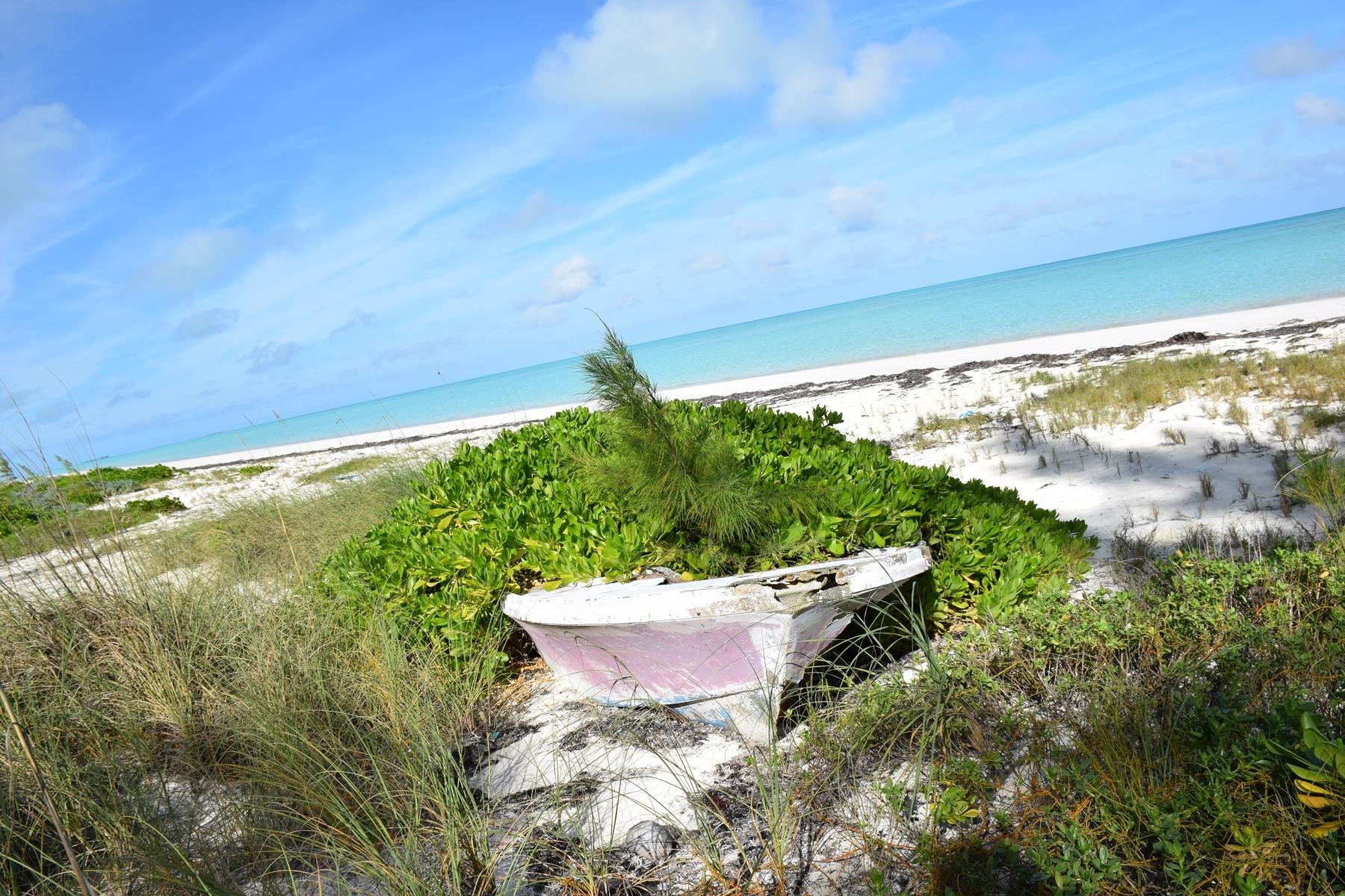 ANDROS BEACHFRONT ACREAGE