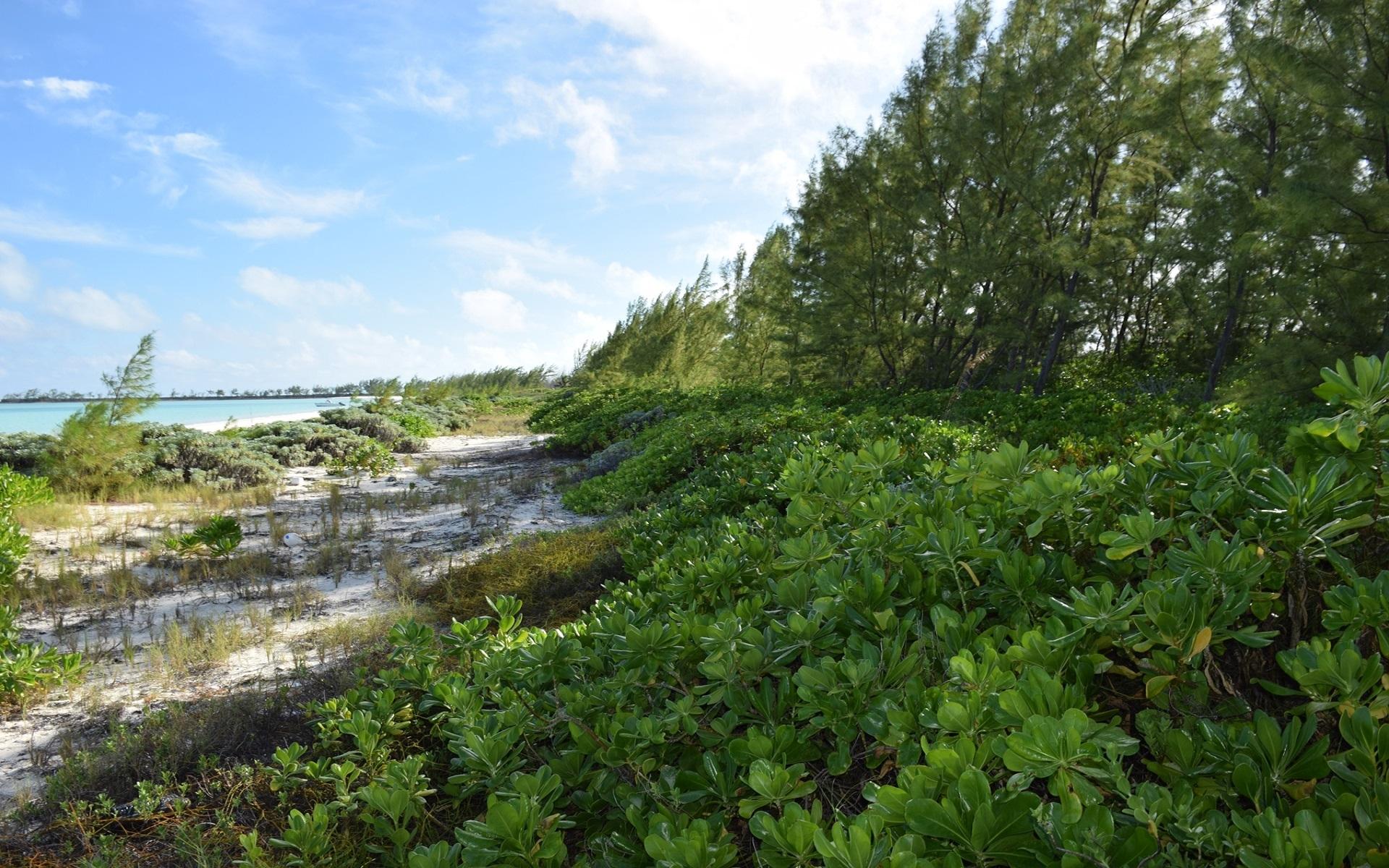ANDROS BEACHFRONT ACREAGE
