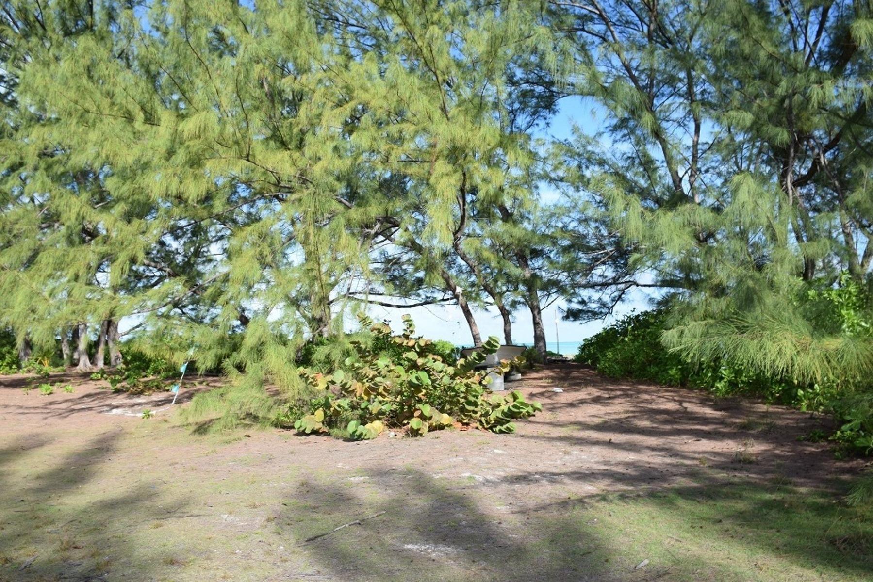 ANDROS BEACHFRONT ACREAGE