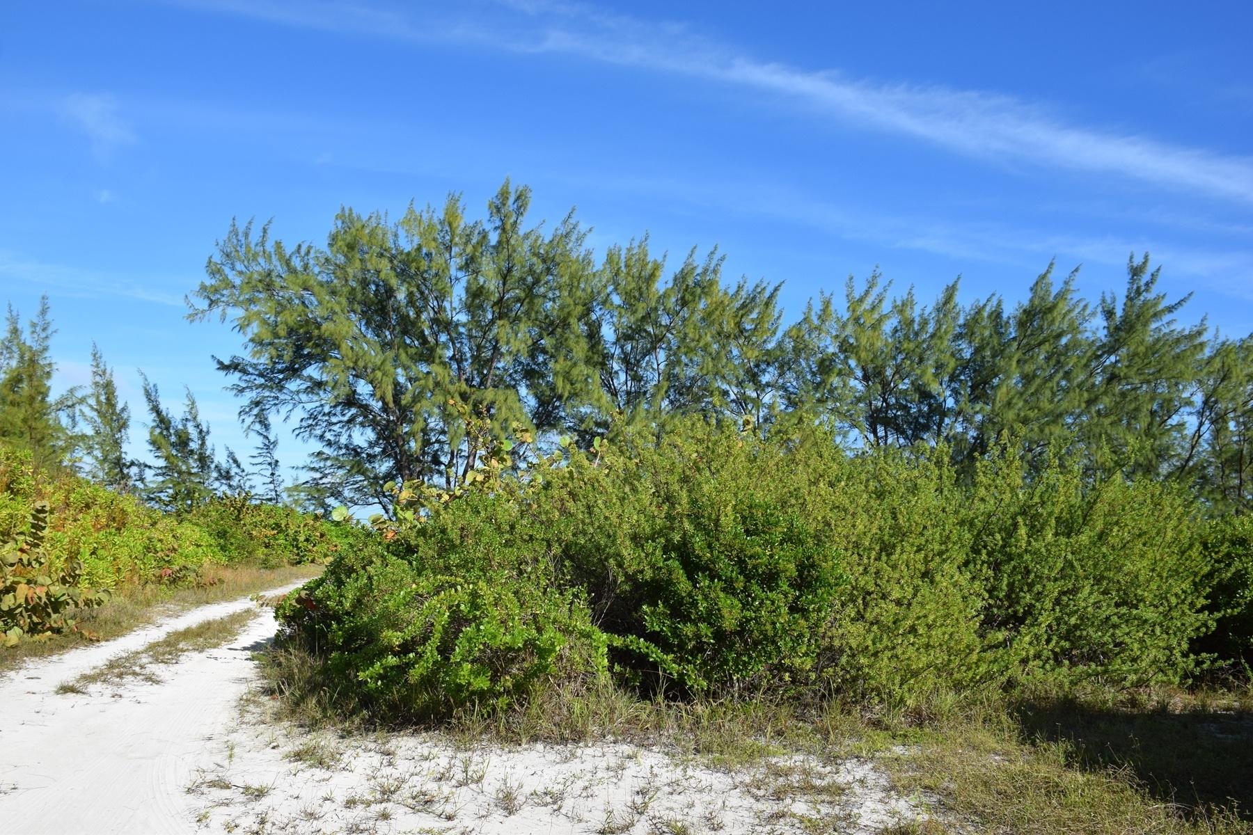 ANDROS BEACHFRONT ACREAGE