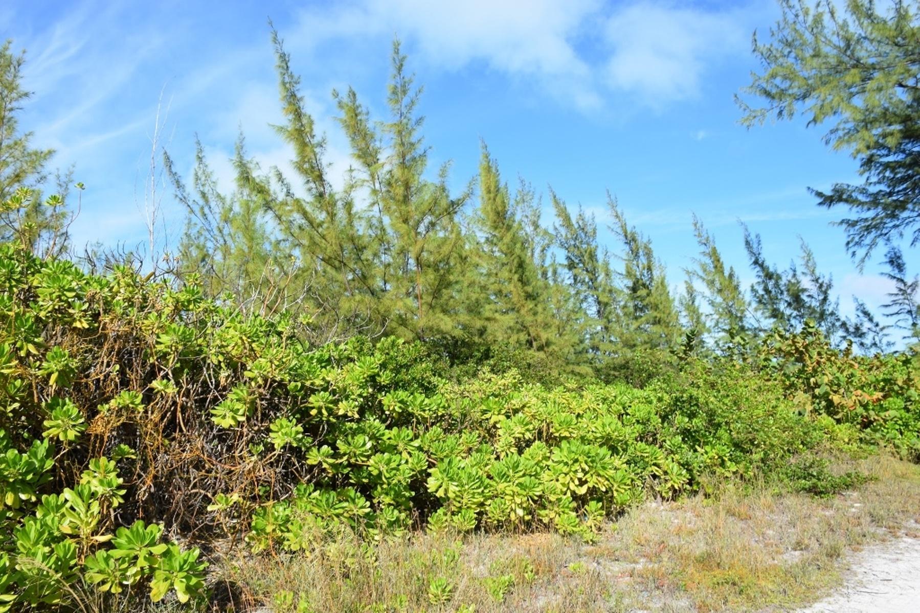 ANDROS BEACHFRONT ACREAGE
