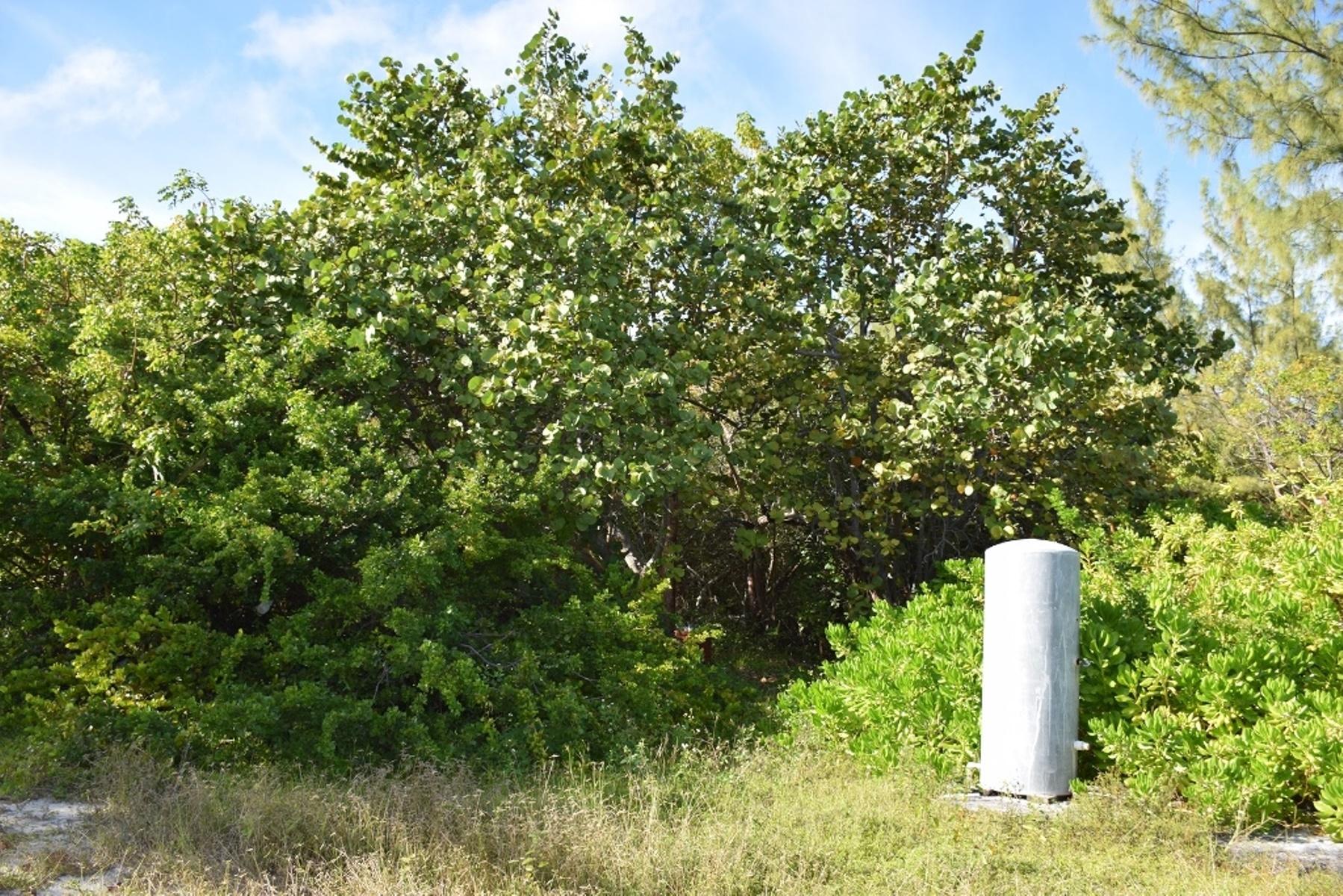 ANDROS BEACHFRONT ACREAGE