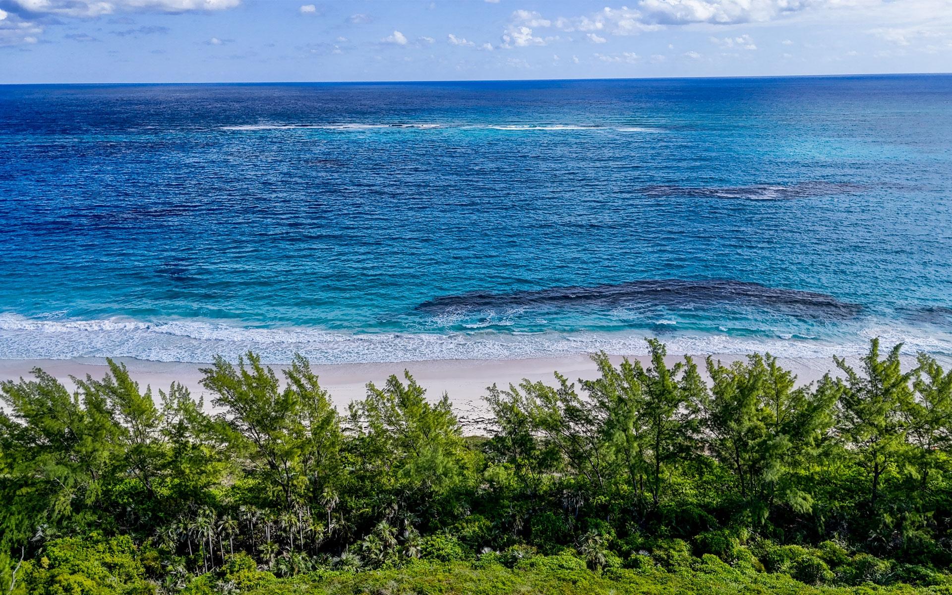 THE ISLAND BEACH CLUB