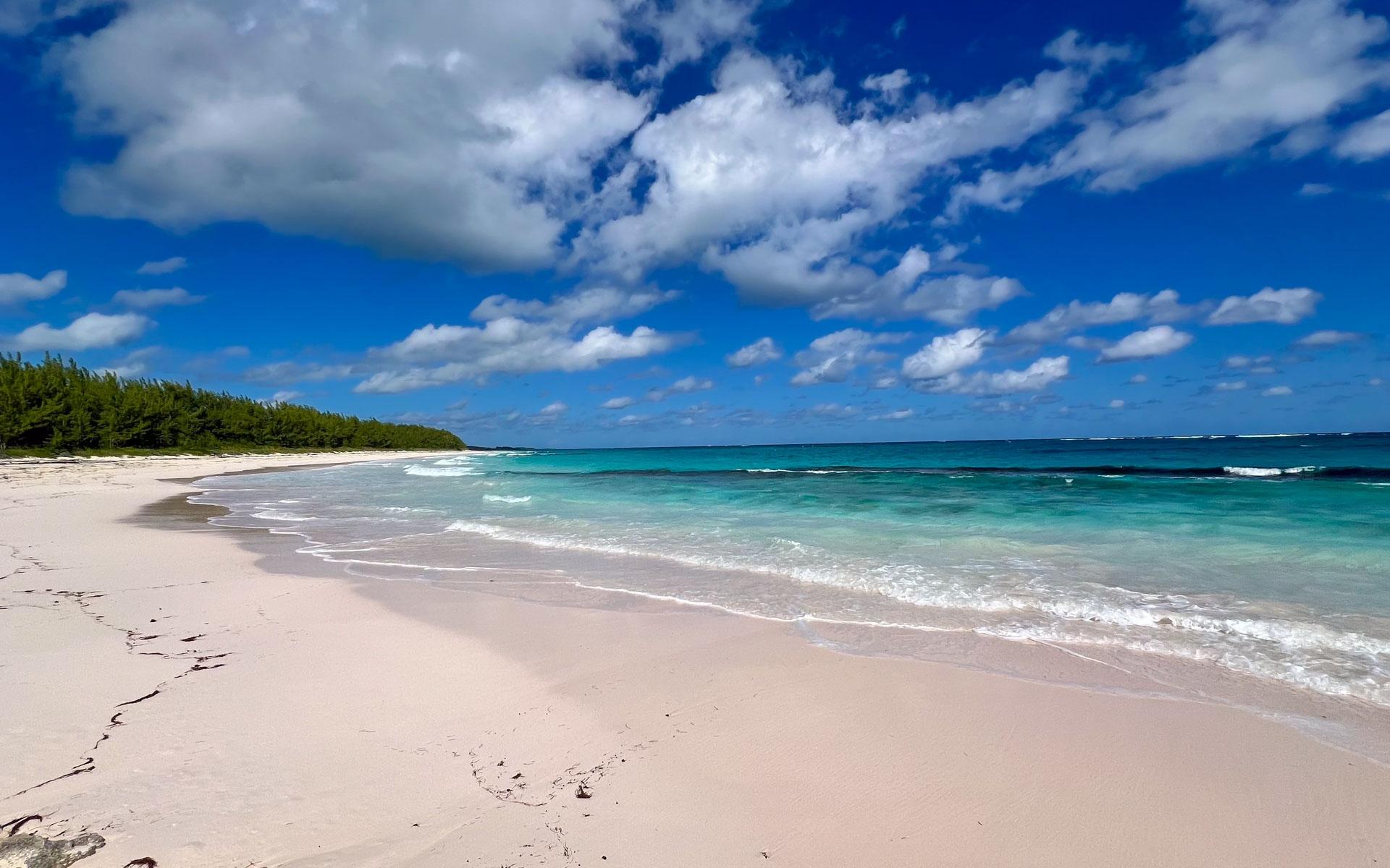 THE ISLAND BEACH CLUB