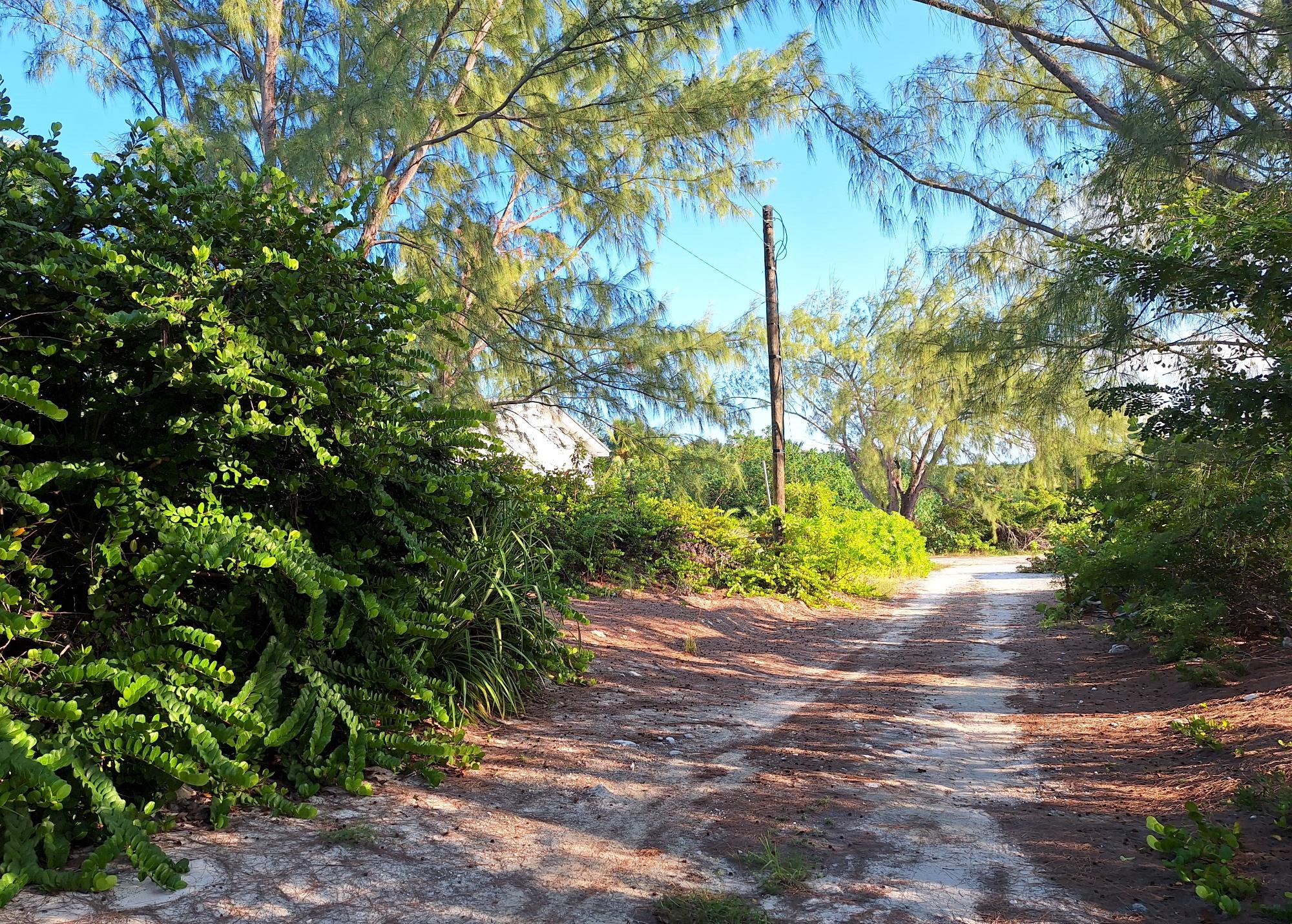 Beach Lot