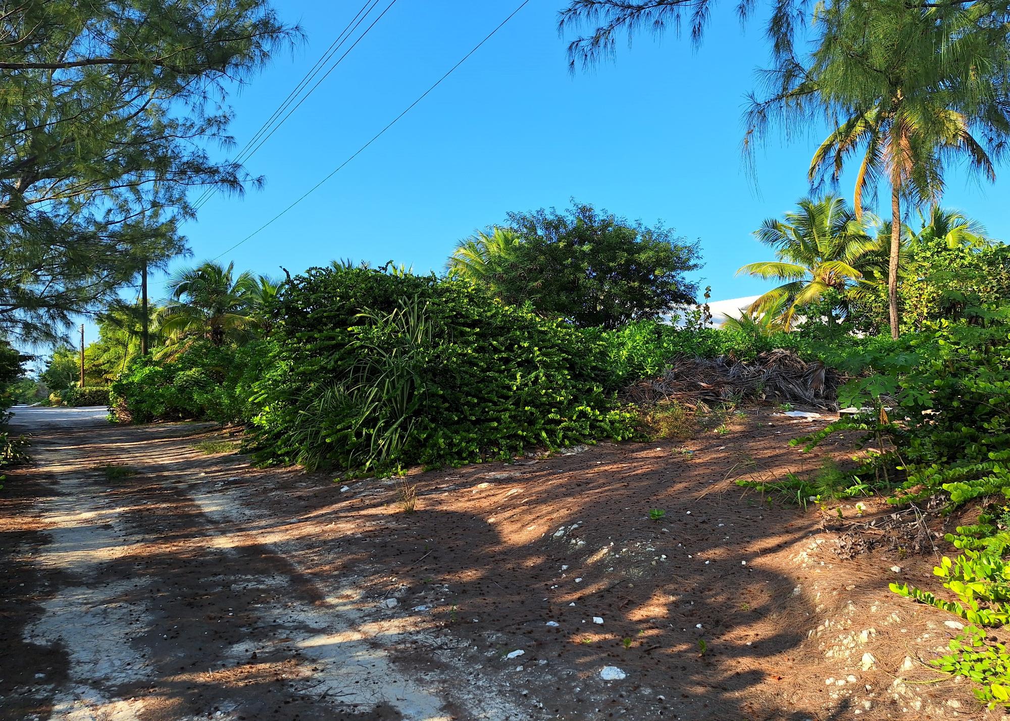 Beach Lot