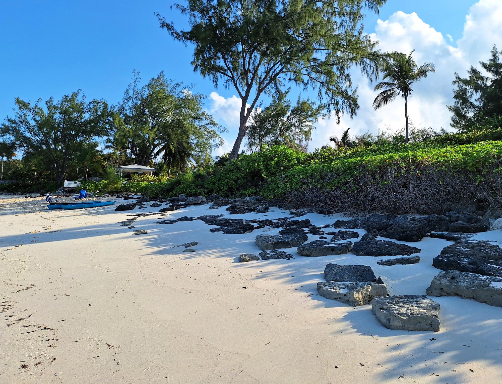 Beach Lot